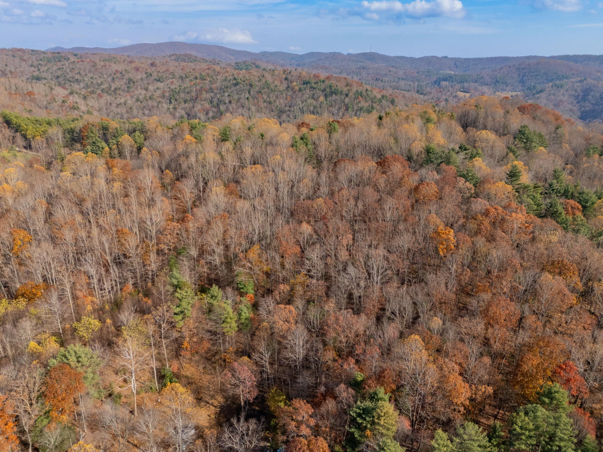 0 Autumn DR - Photo 12