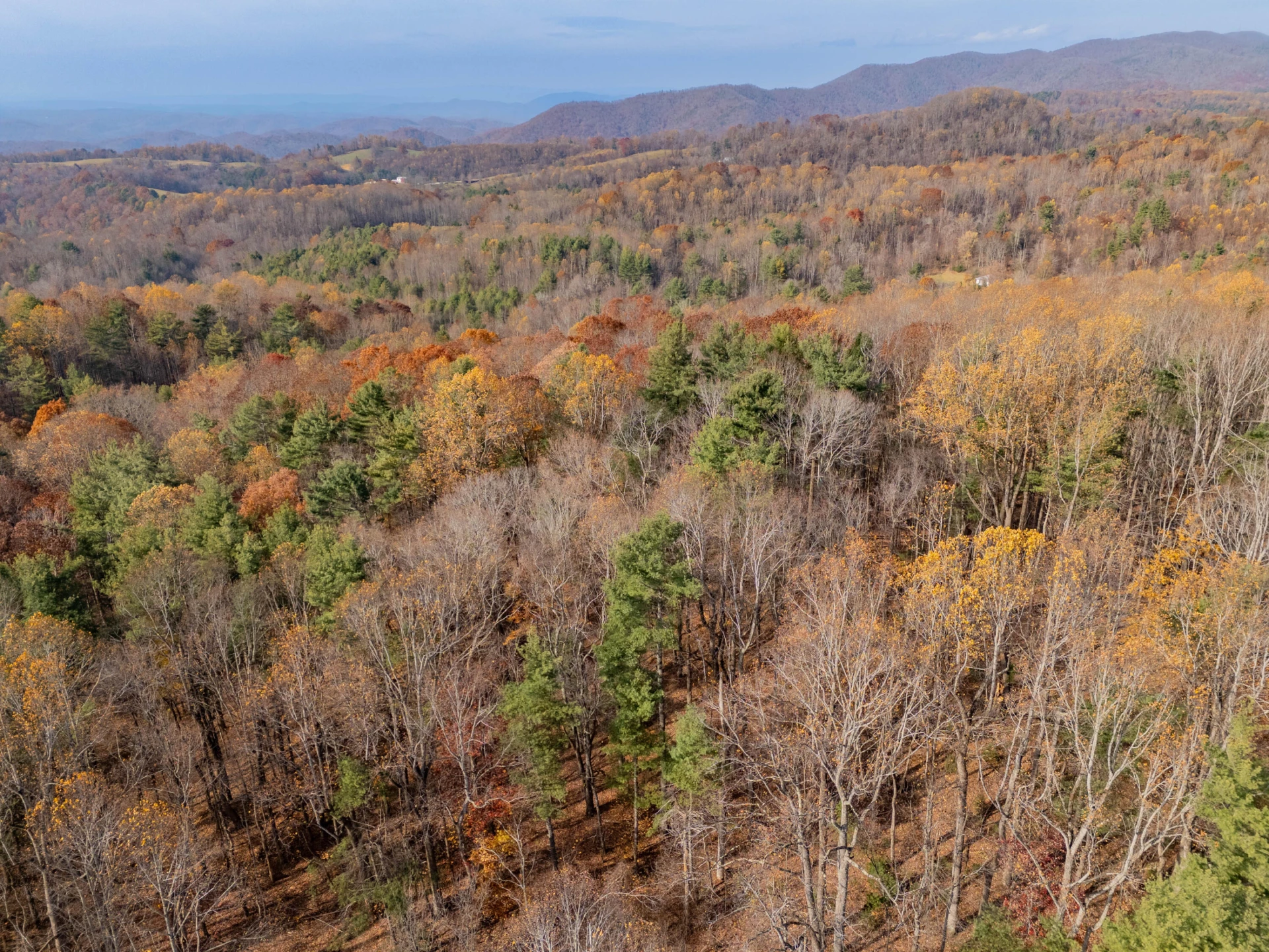 0 Autumn DR - Photo 17