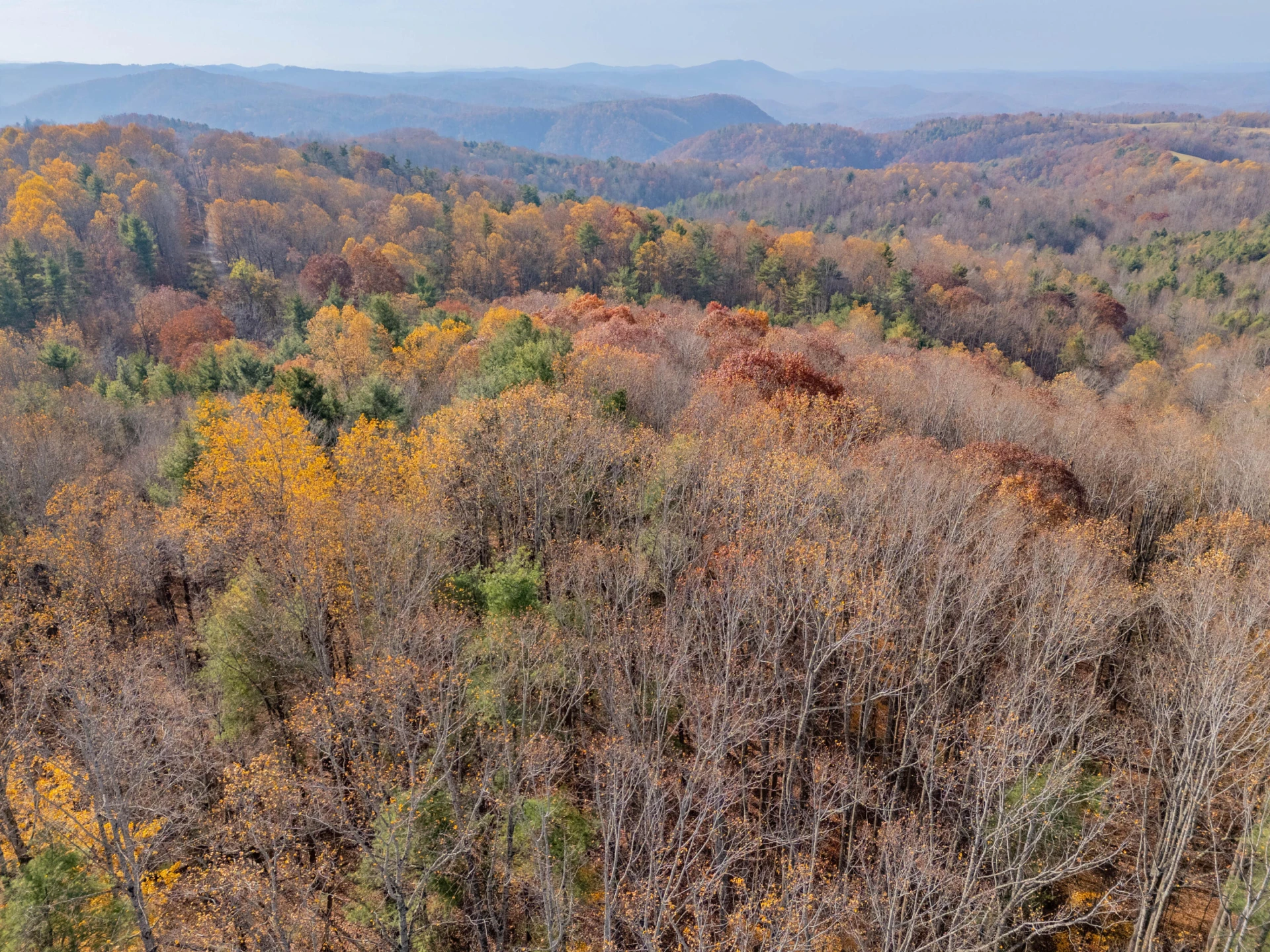 0 Autumn DR - Photo 18