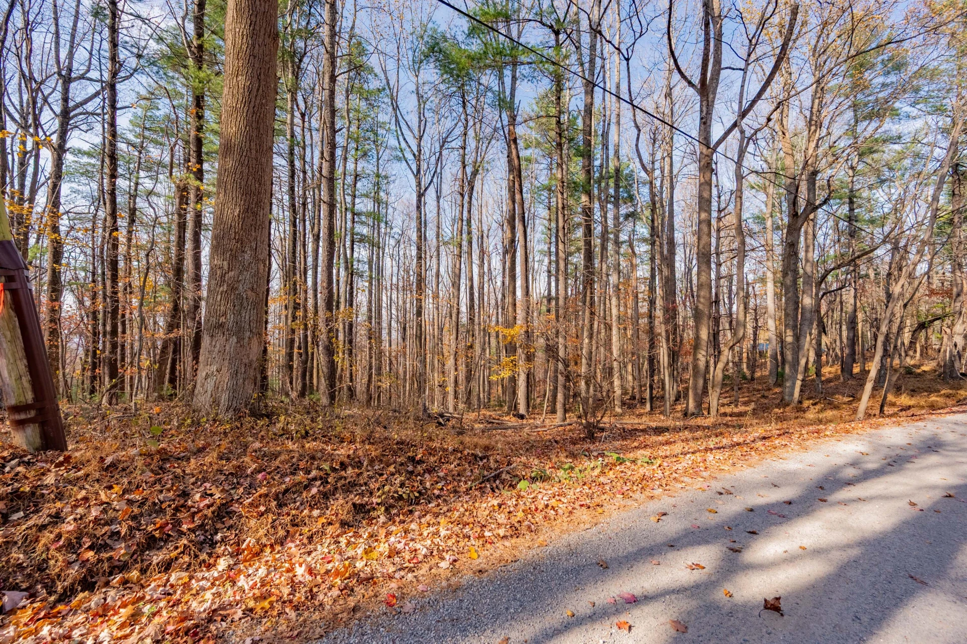 0 Autumn DR - Photo 3