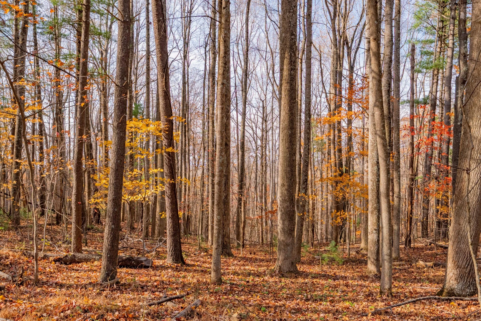 0 Autumn DR - Photo 4