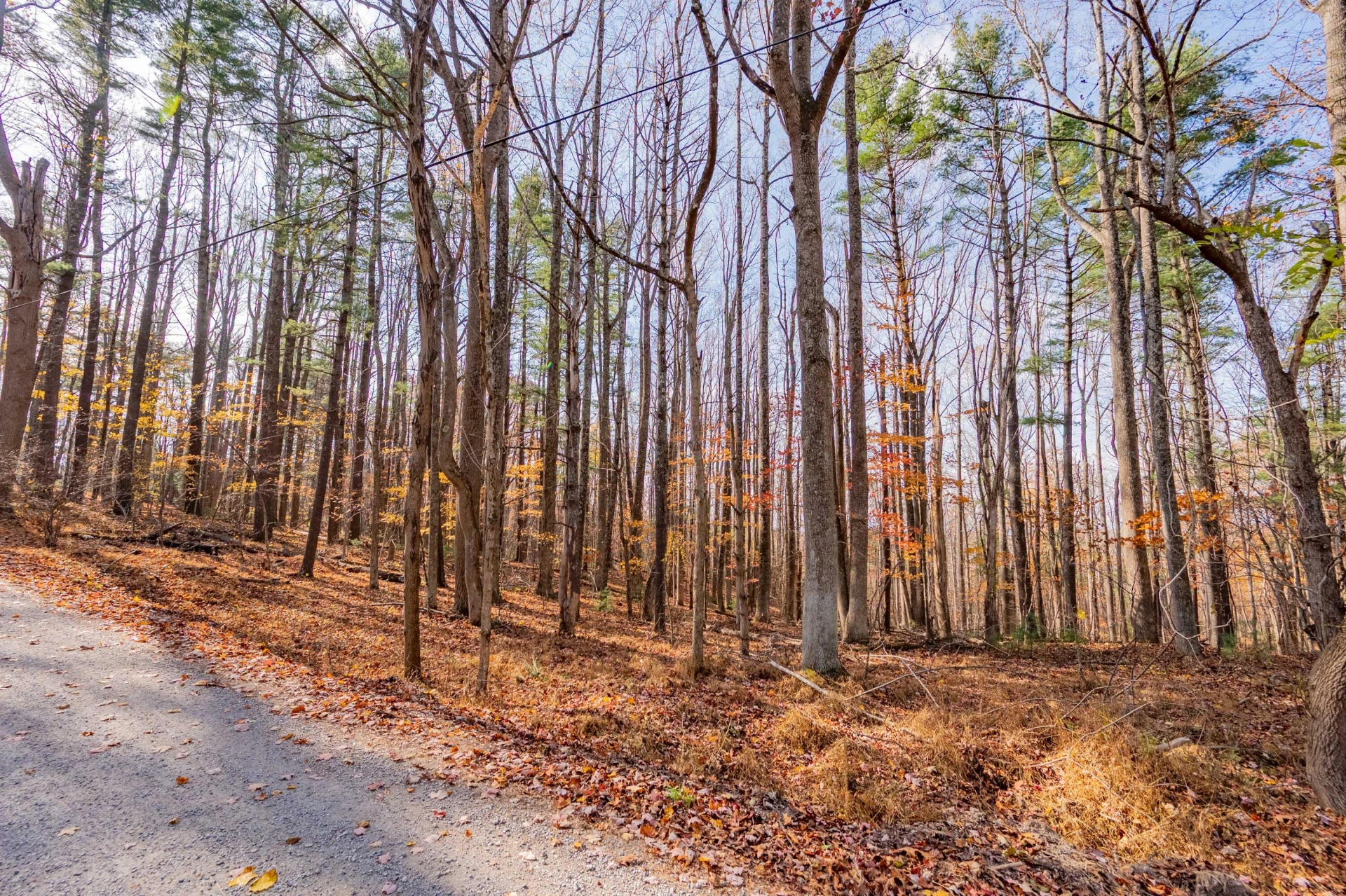 0 Autumn DR - Photo 5