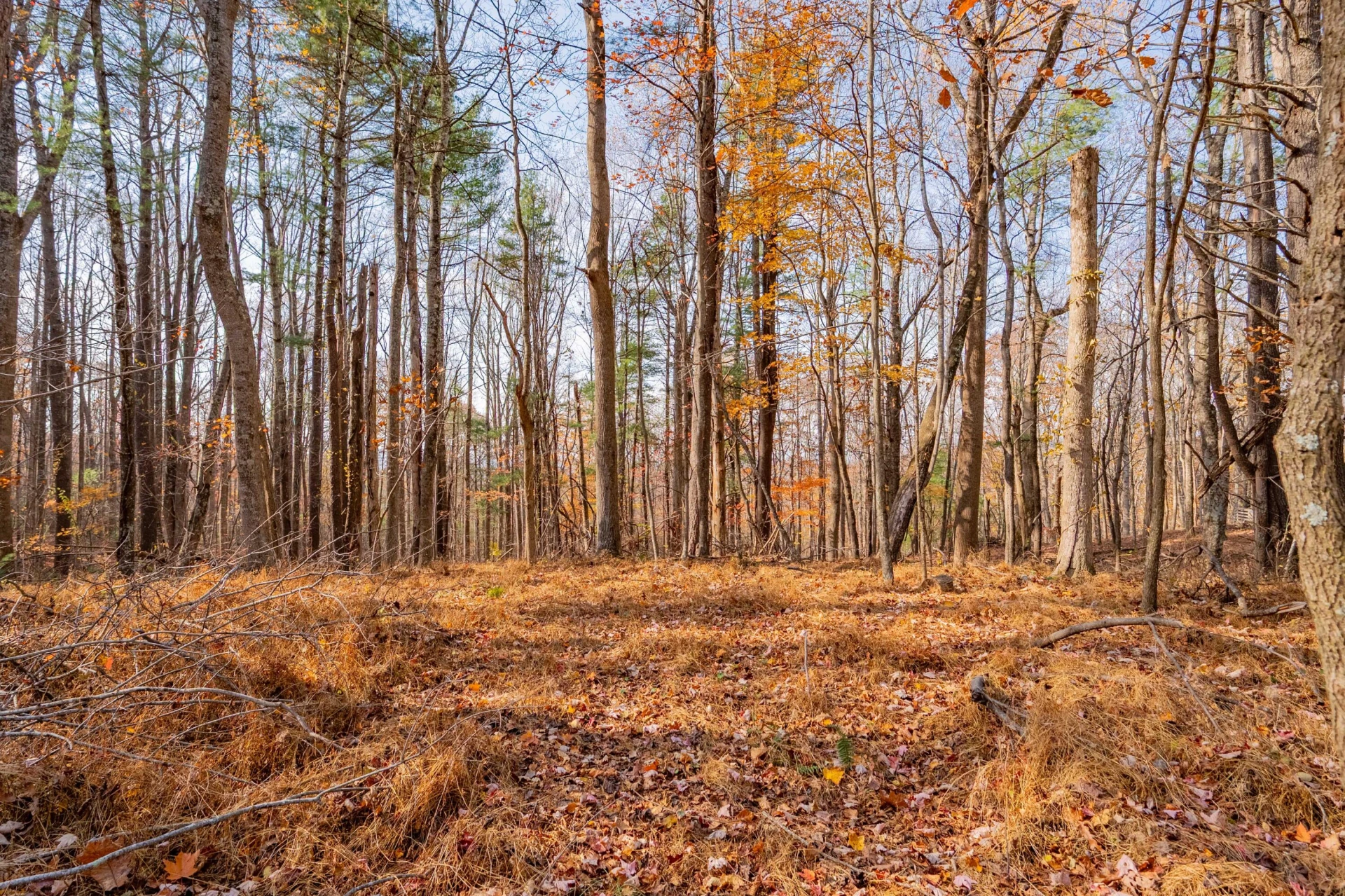 0 Autumn DR - Photo 6