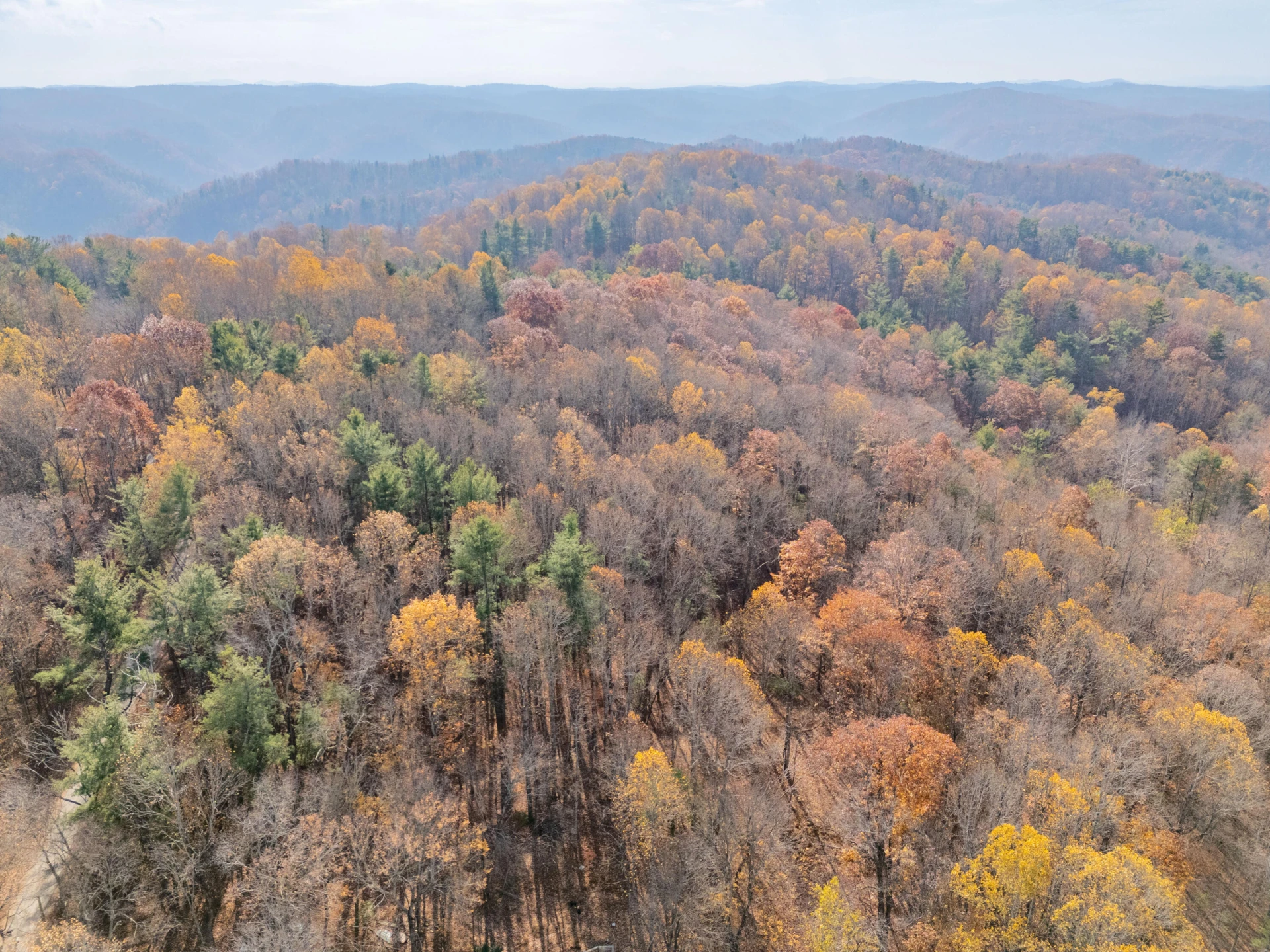 0 Autumn DR - Photo 9