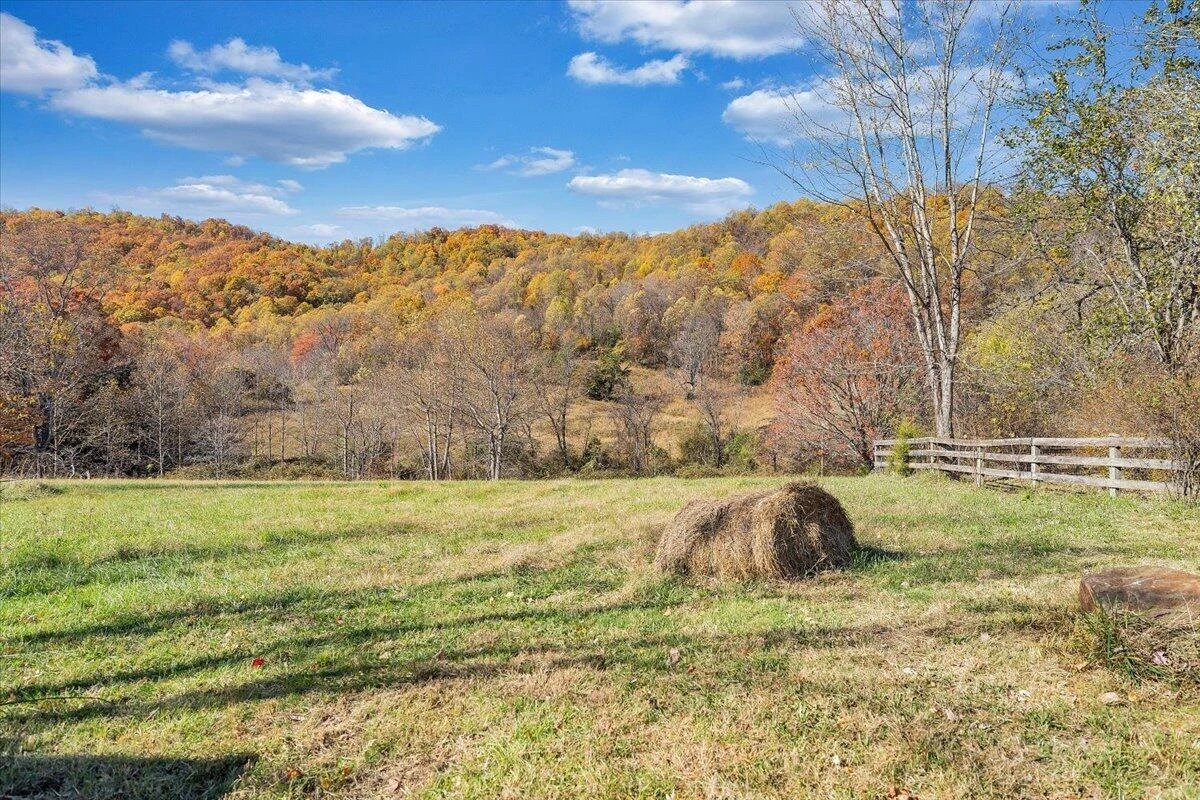 1001 RICHIE FARM LN - Photo 42
