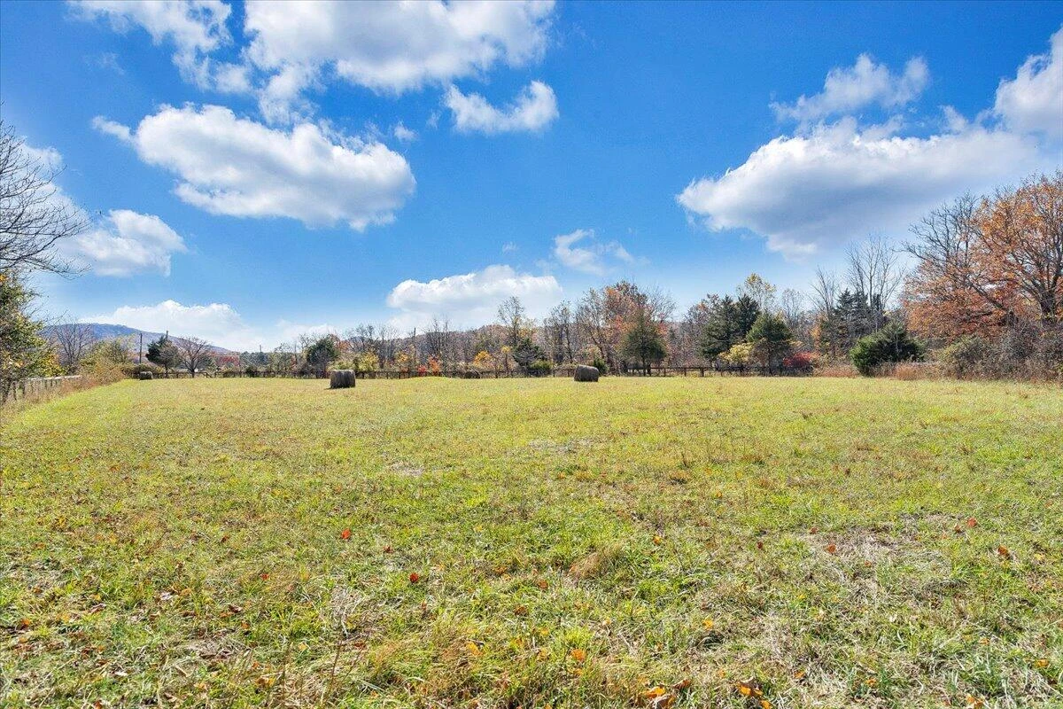 1001 RICHIE FARM LN - Photo 43