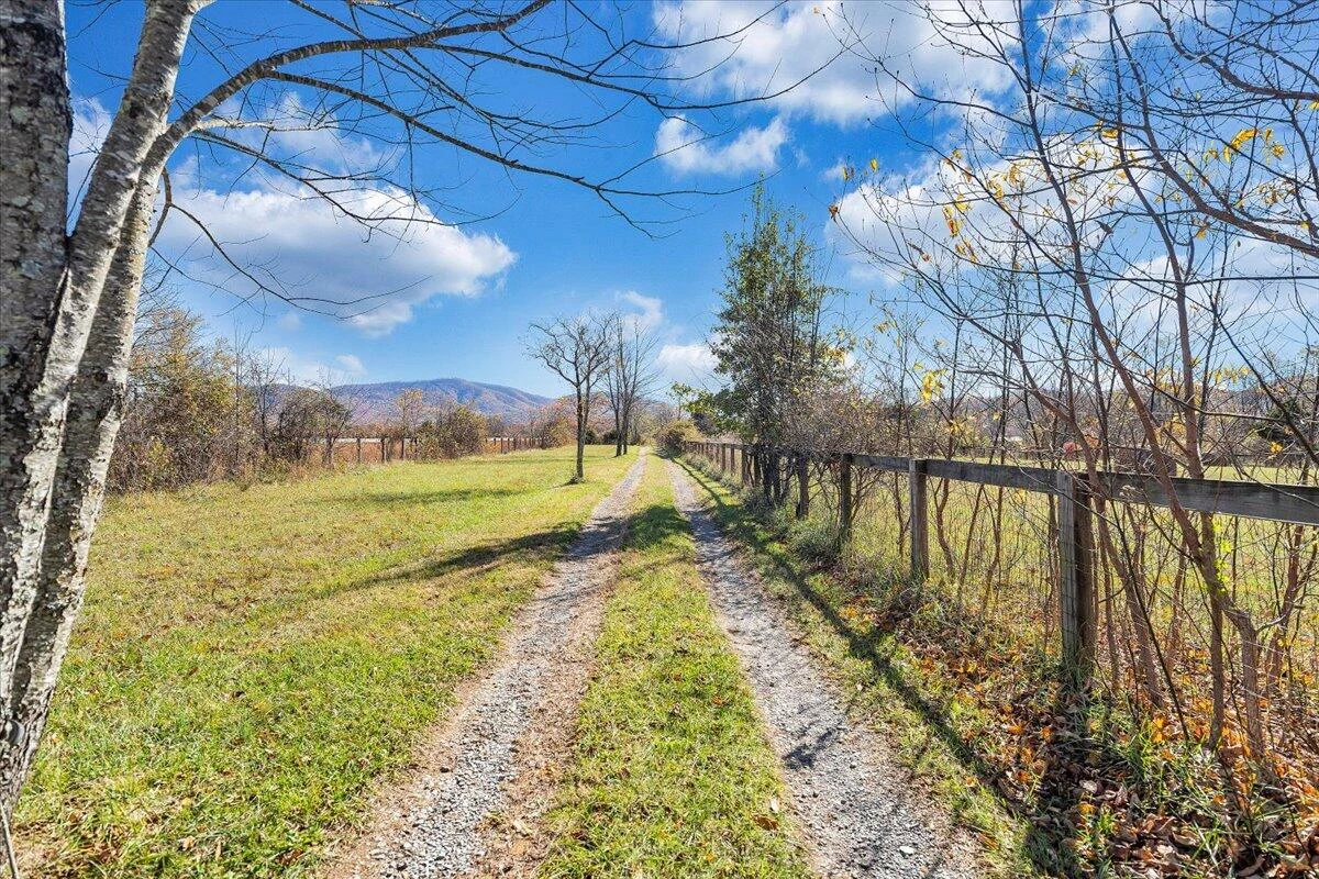 1001 RICHIE FARM LN - Photo 44