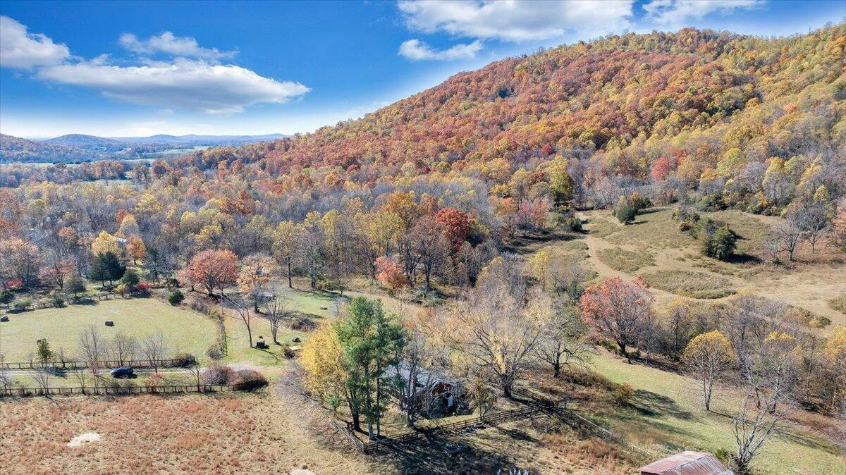 1001 RICHIE FARM LN - Photo 49