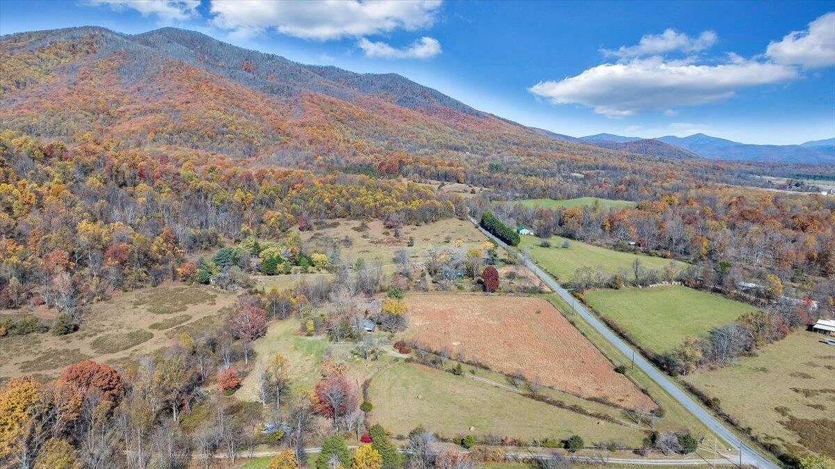 1001 RICHIE FARM LN - Photo 57