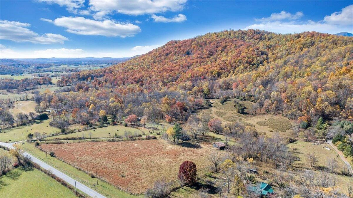 1001 RICHIE FARM LN - Photo 59