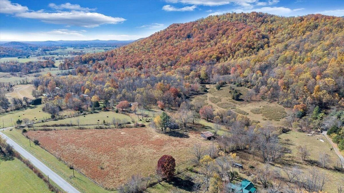 1001 RICHIE FARM LN - Photo 60