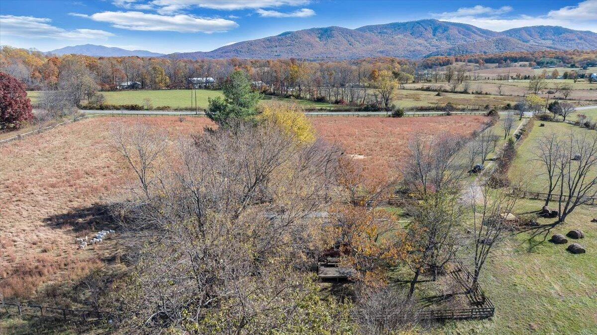 1001 RICHIE FARM LN - Photo 63