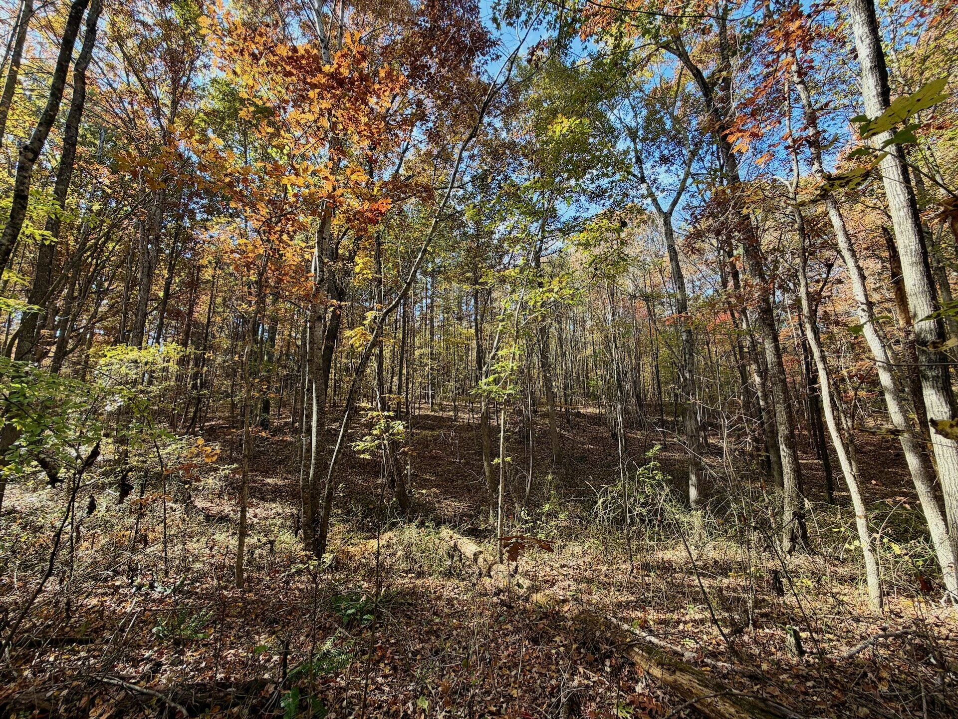 0 Slatesville RD - Photo 14