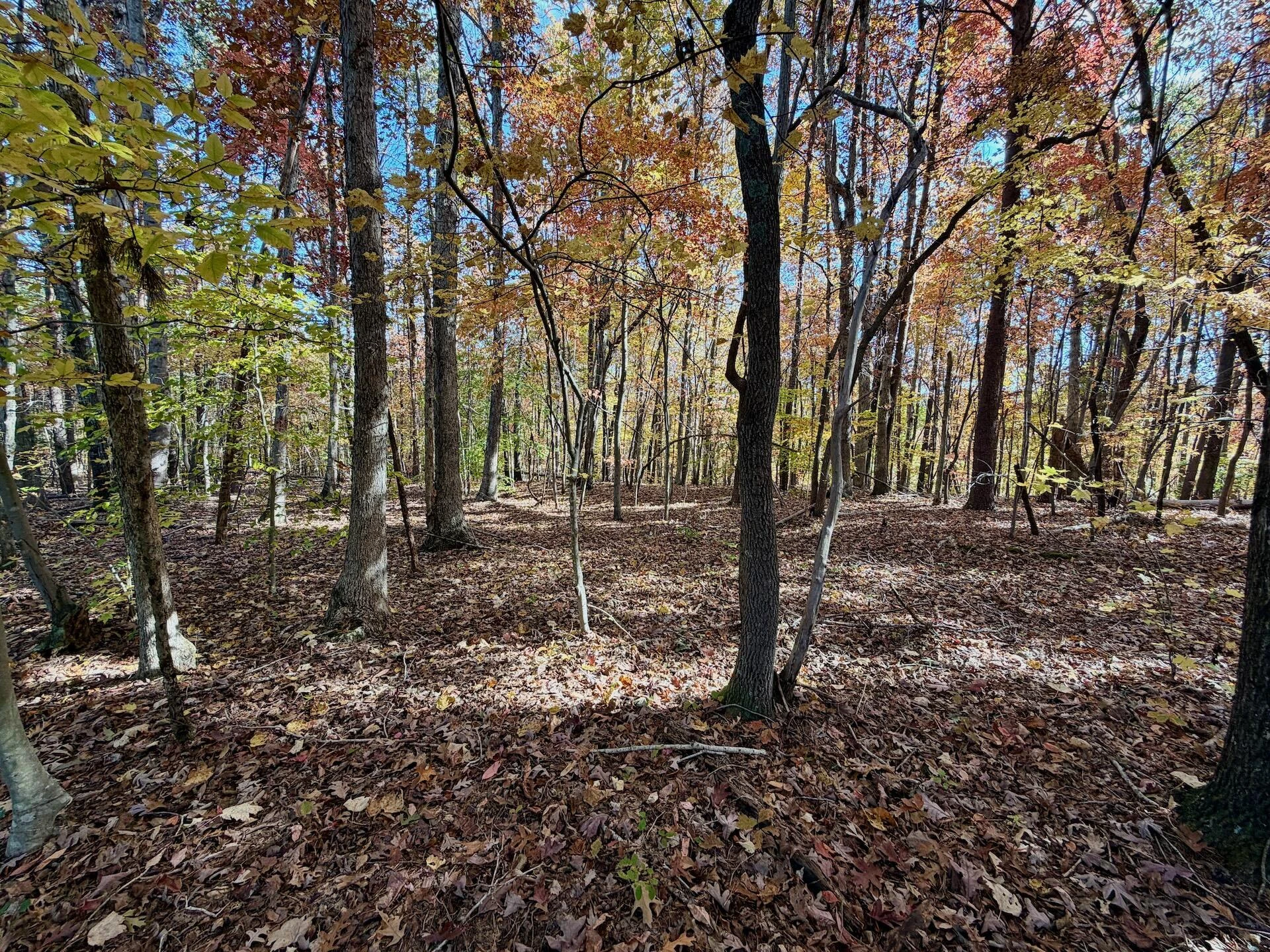 0 Slatesville RD - Photo 16