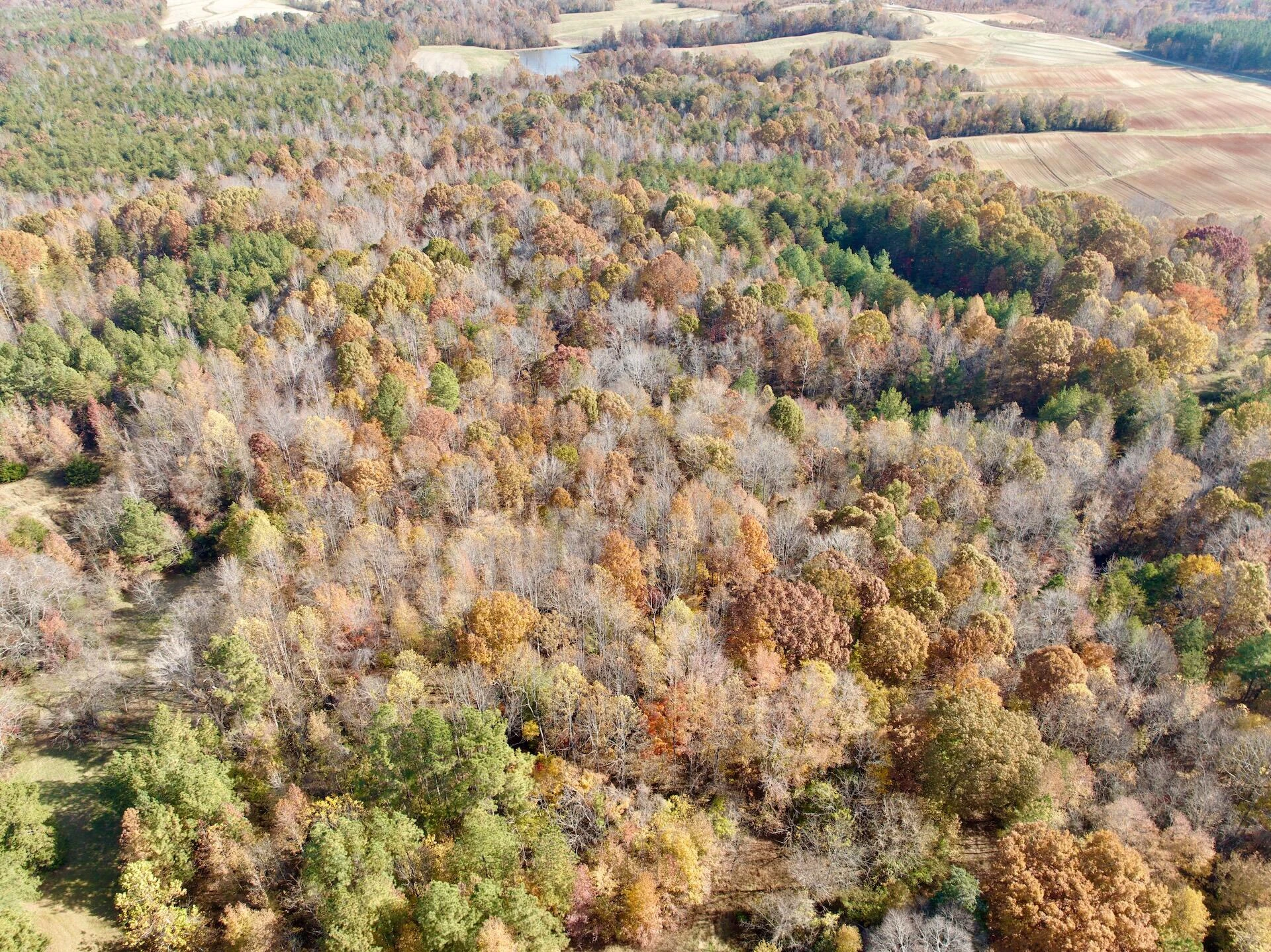 0 Slatesville RD - Photo 2