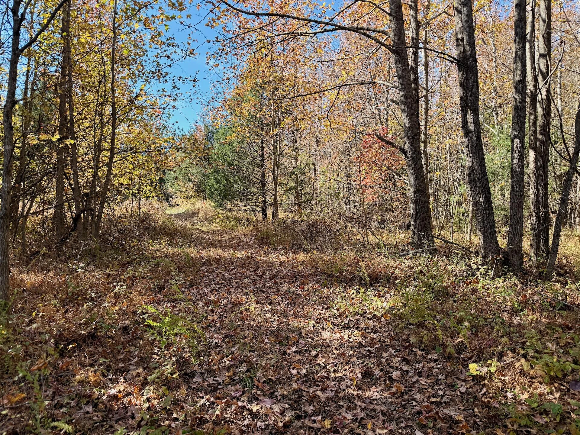 0 Slatesville RD - Photo 24