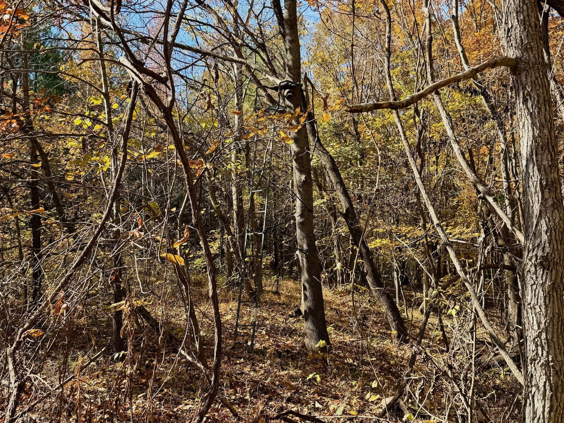 0 Slatesville RD - Photo 26