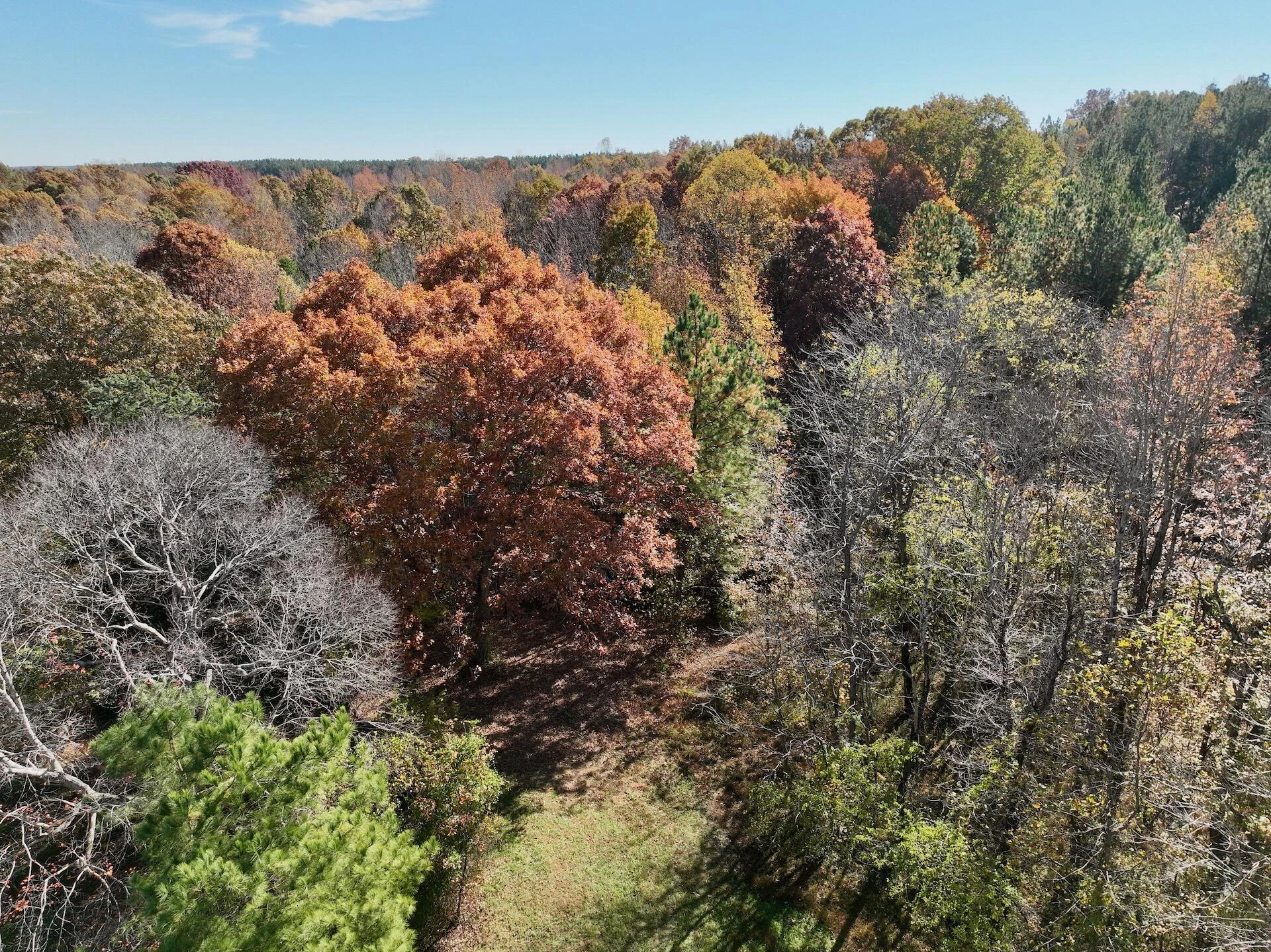 0 Slatesville RD - Photo 27