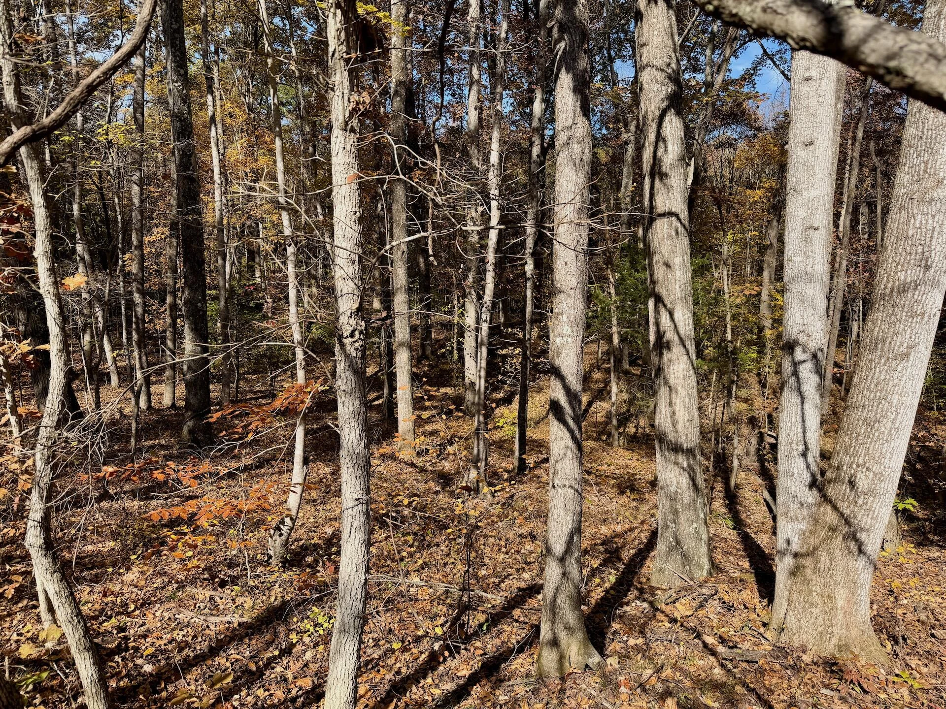 0 Slatesville RD - Photo 29