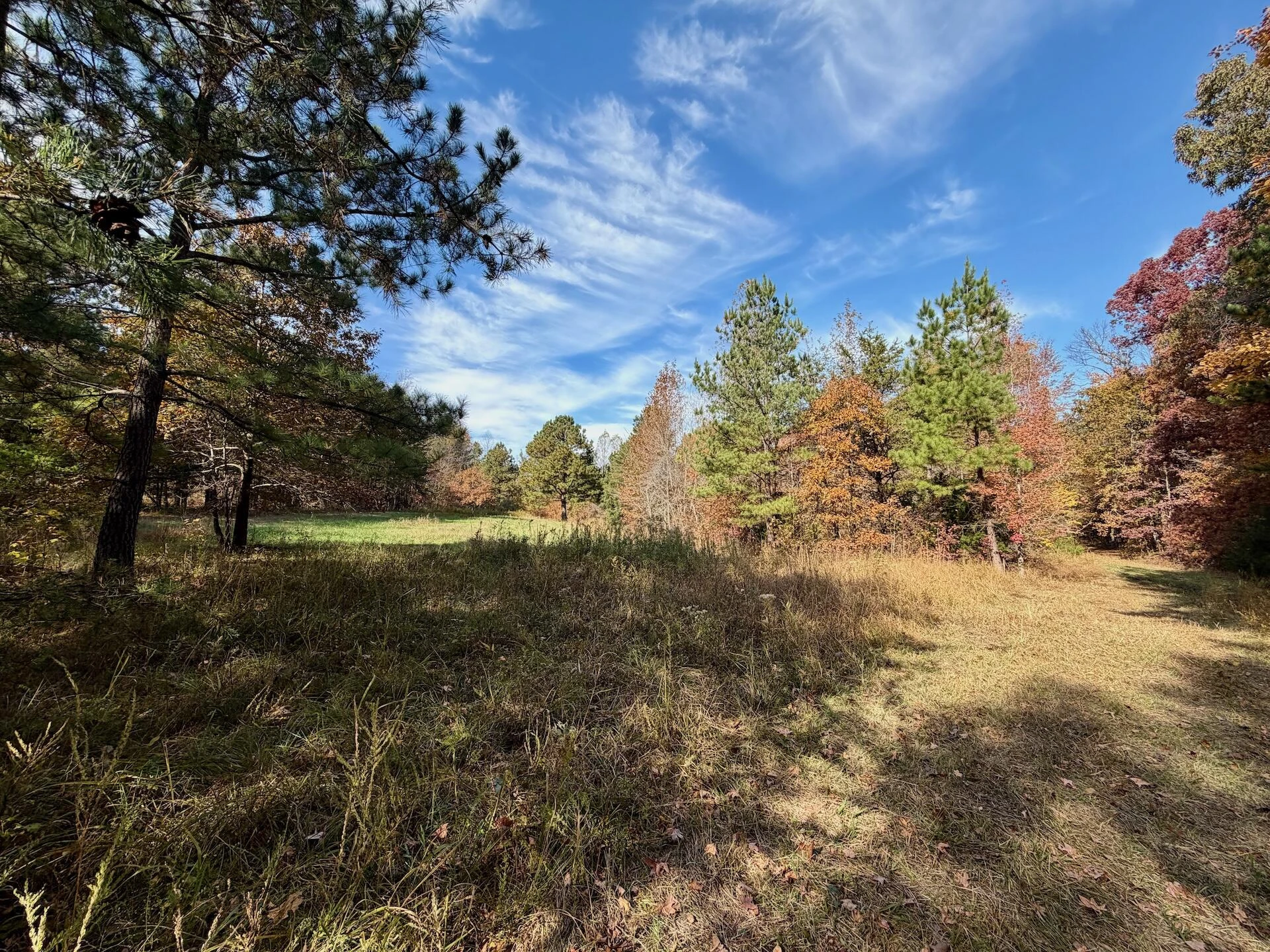 0 Slatesville RD - Photo 3