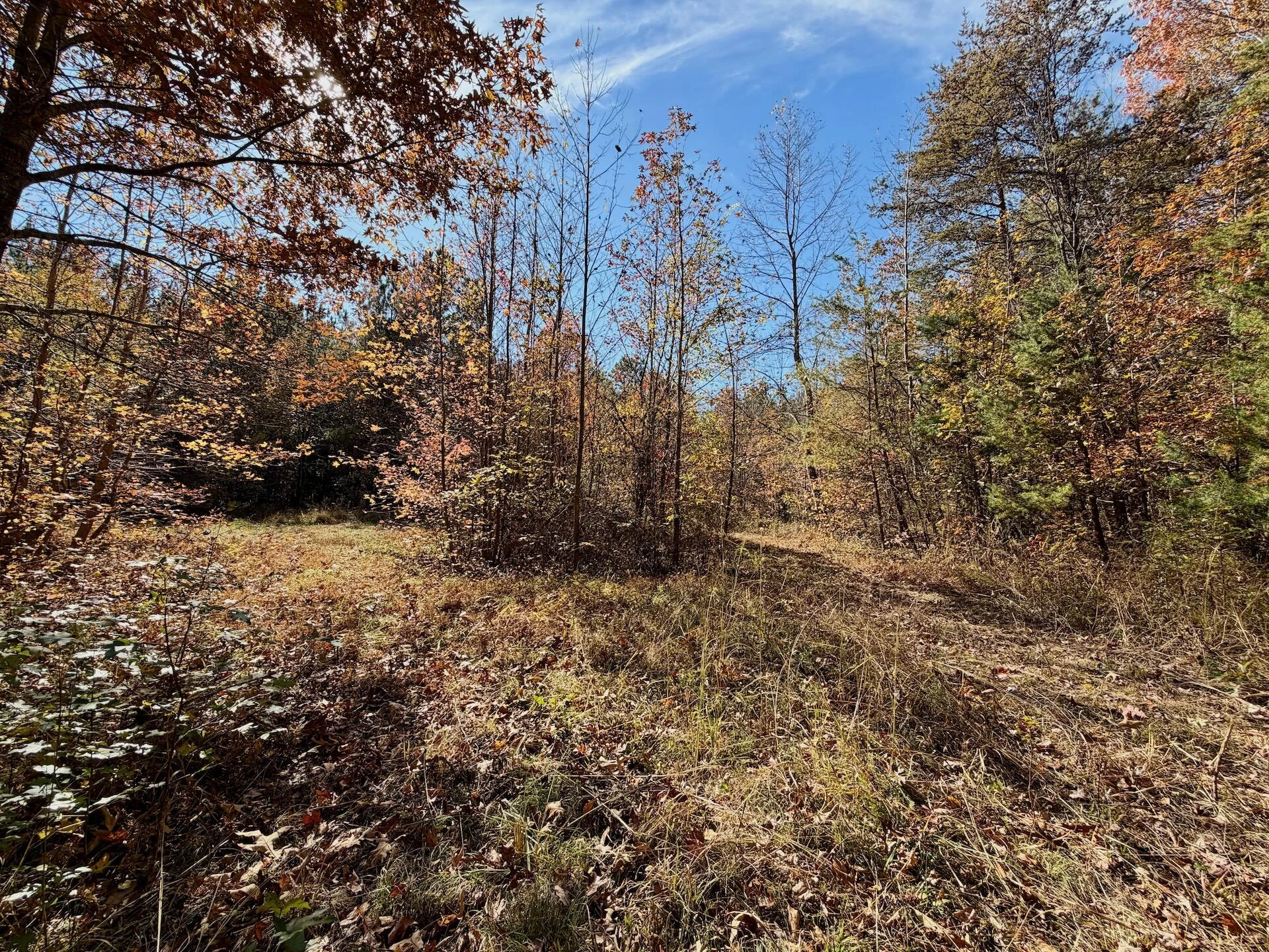 0 Slatesville RD - Photo 30