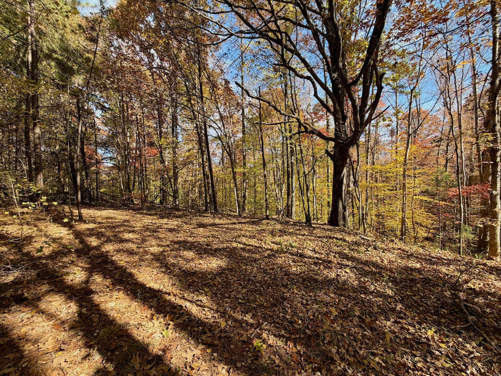 0 Slatesville RD - Photo 36