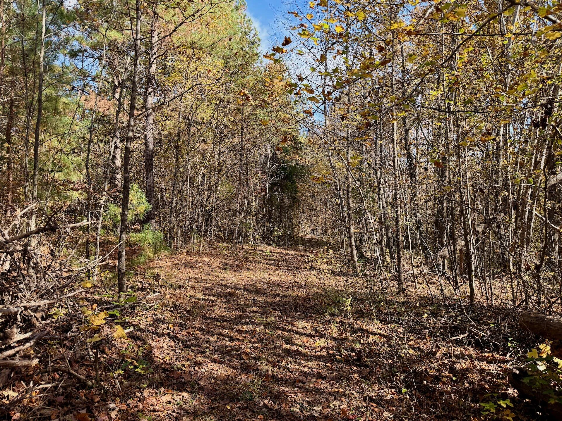 0 Slatesville RD - Photo 38