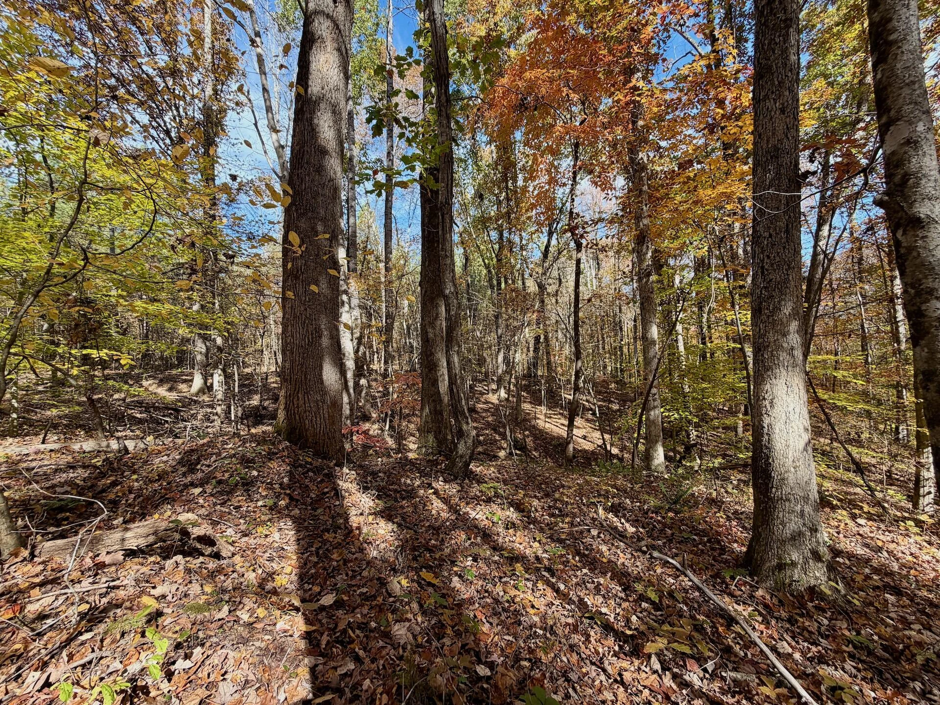 0 Slatesville RD - Photo 39
