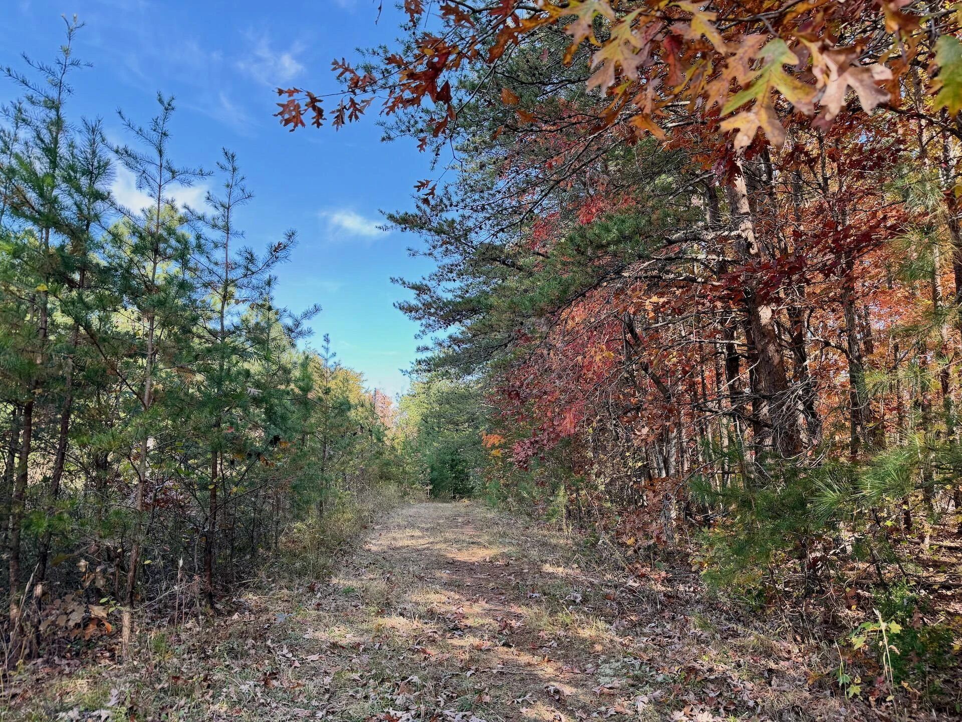 0 Slatesville RD - Photo 4