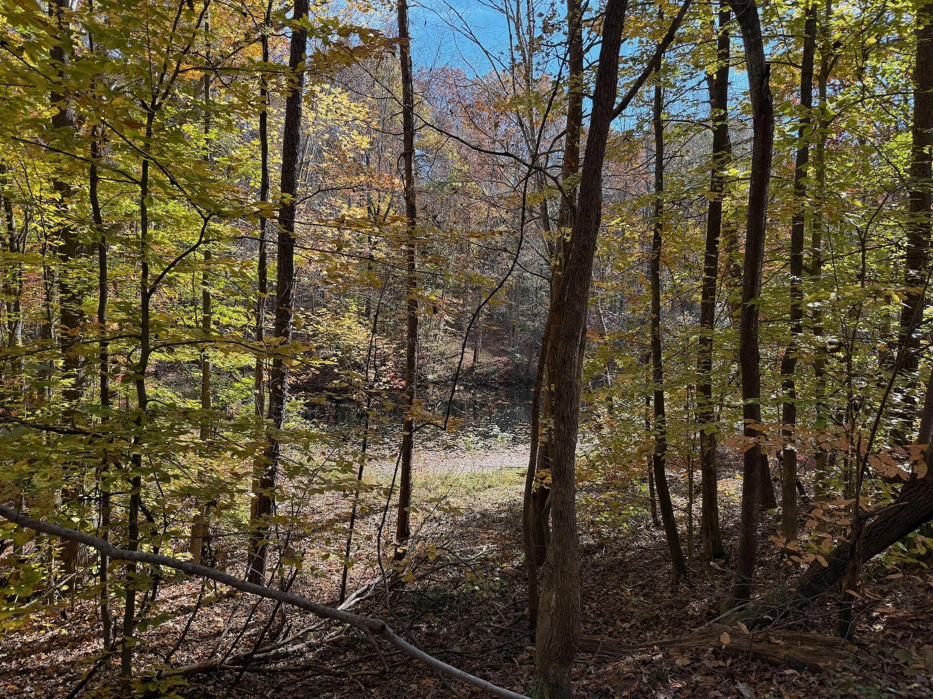 0 Slatesville RD - Photo 40