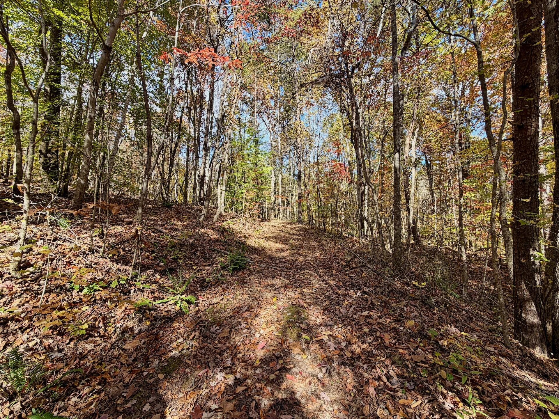 0 Slatesville RD - Photo 41