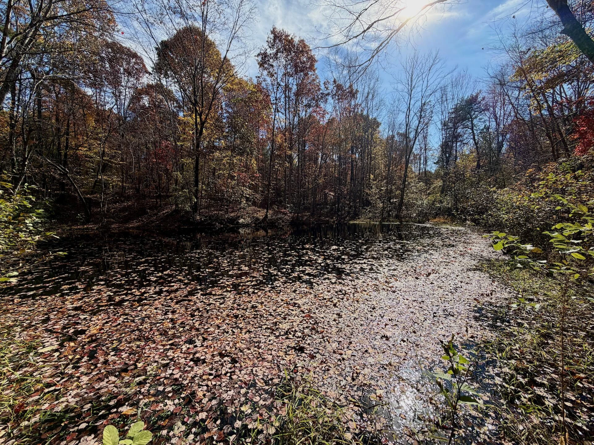 0 Slatesville RD - Photo 42