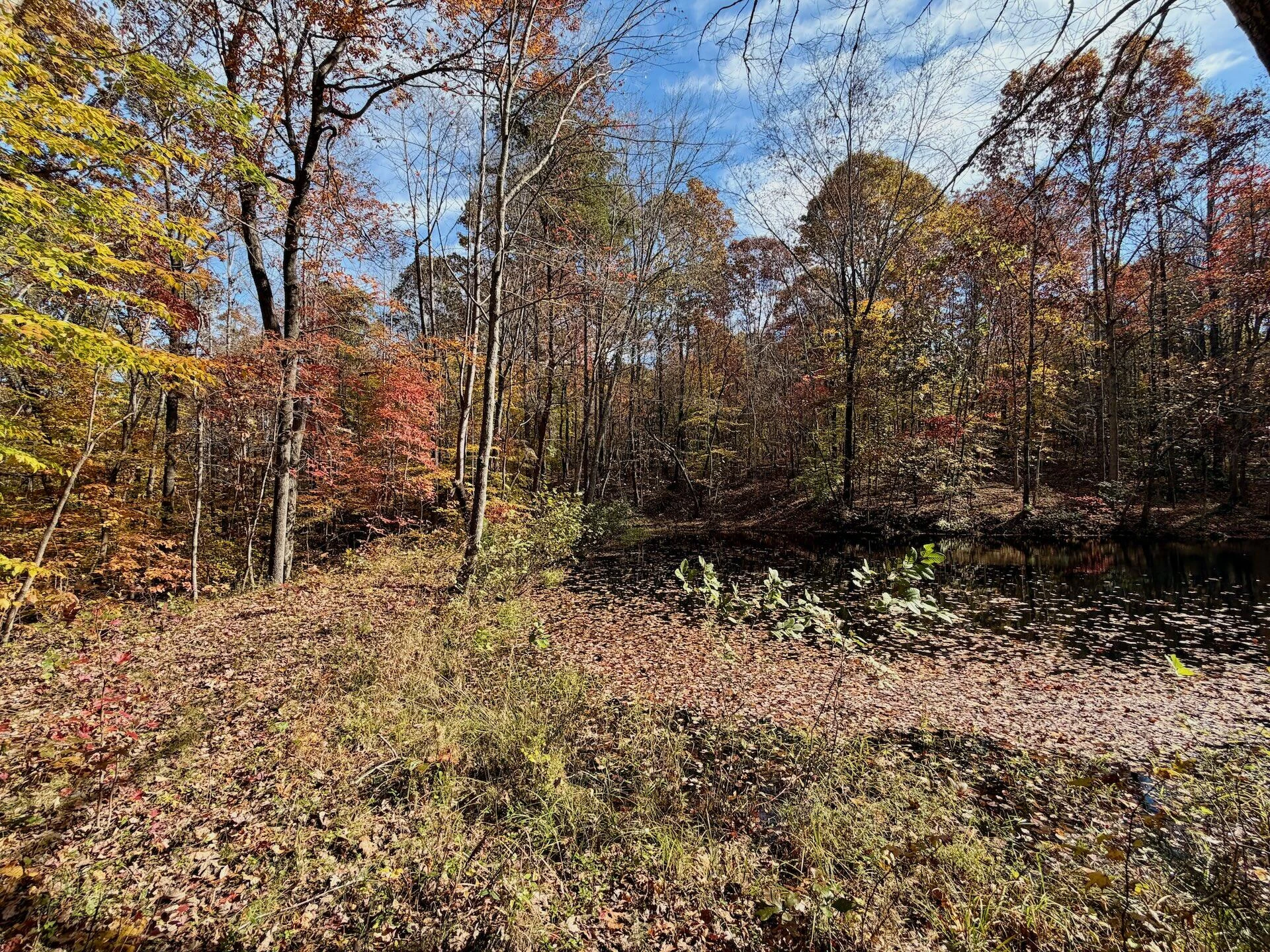 0 Slatesville RD - Photo 43