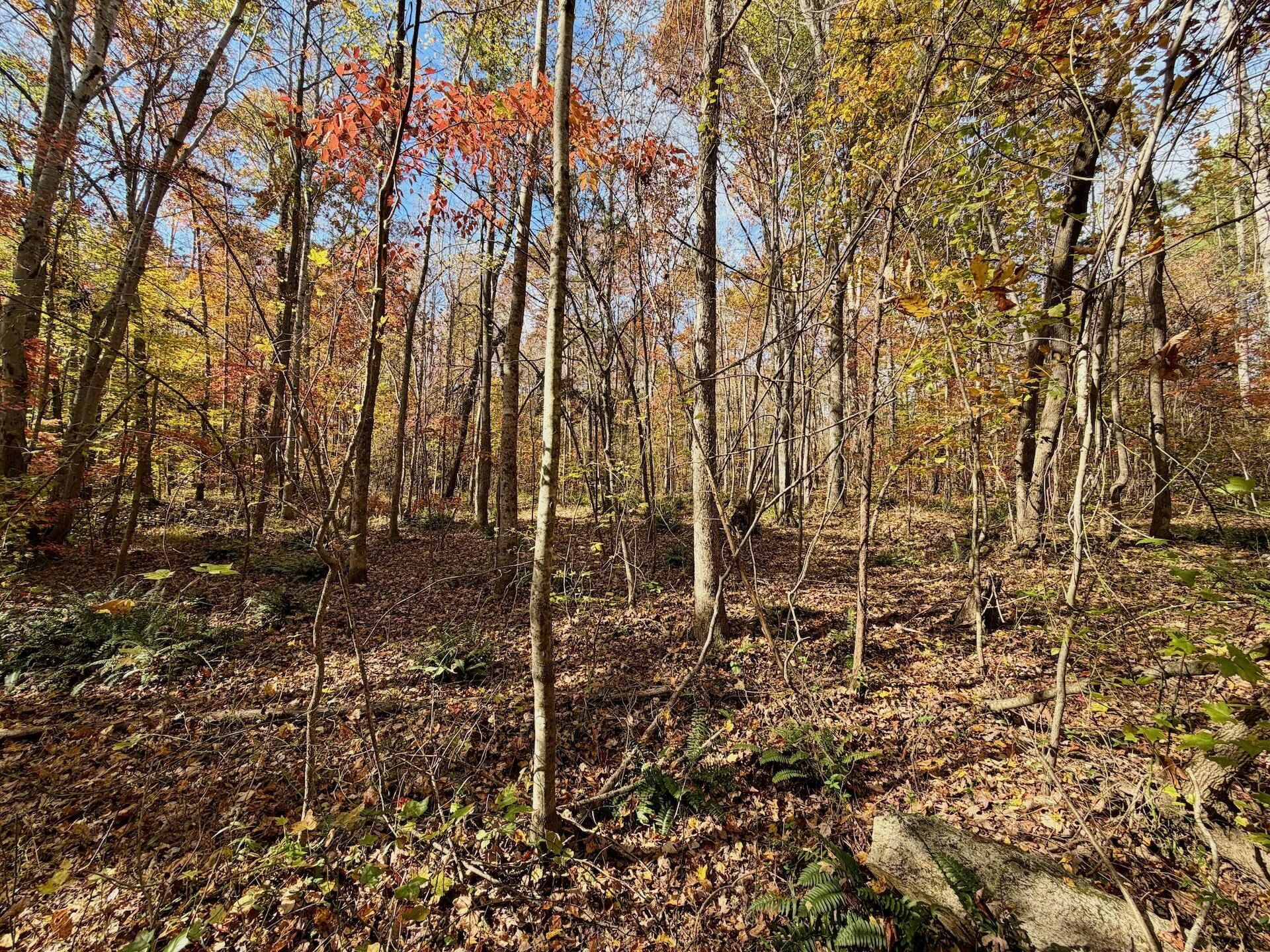 0 Slatesville RD - Photo 44
