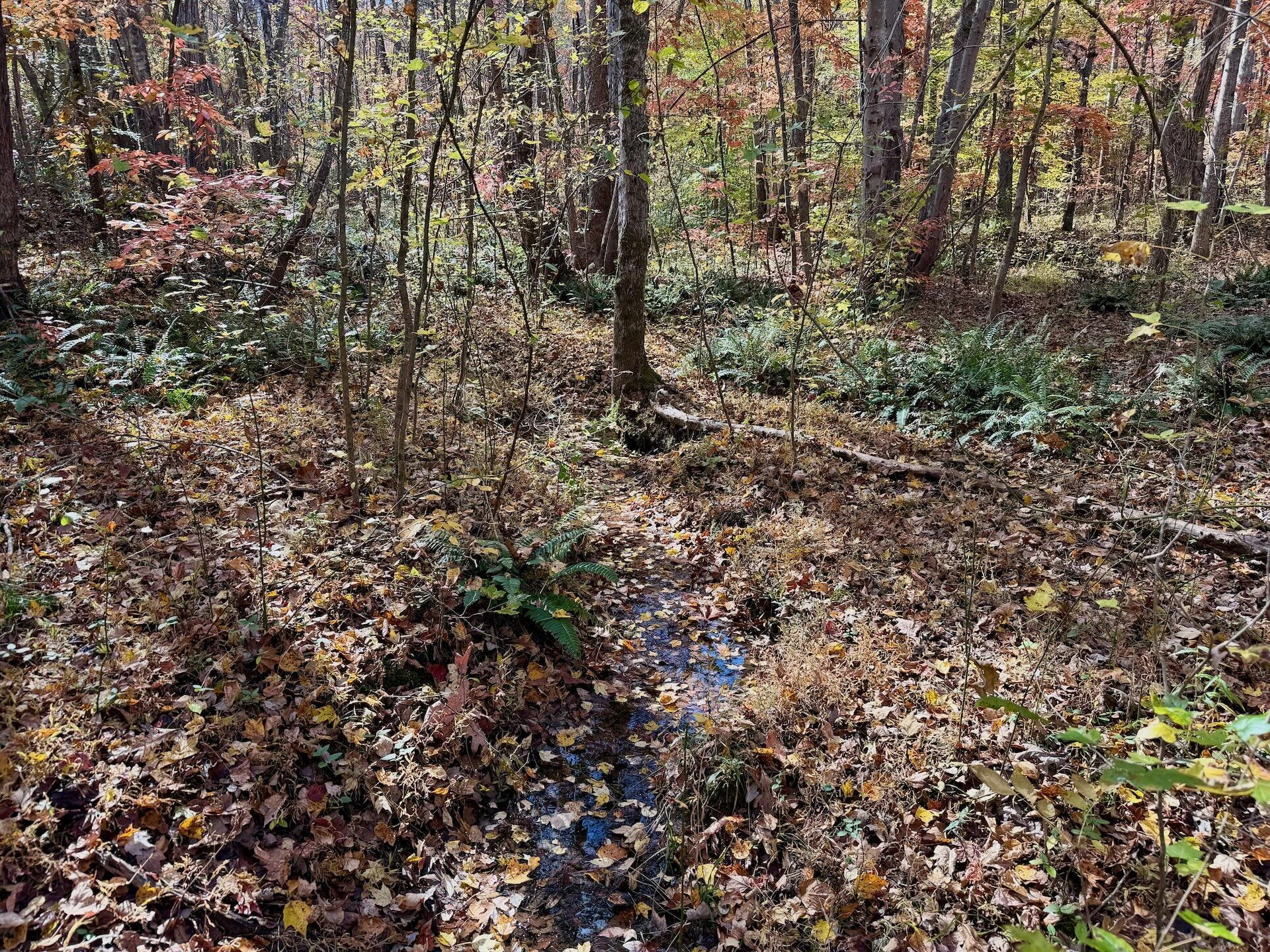 0 Slatesville RD - Photo 45