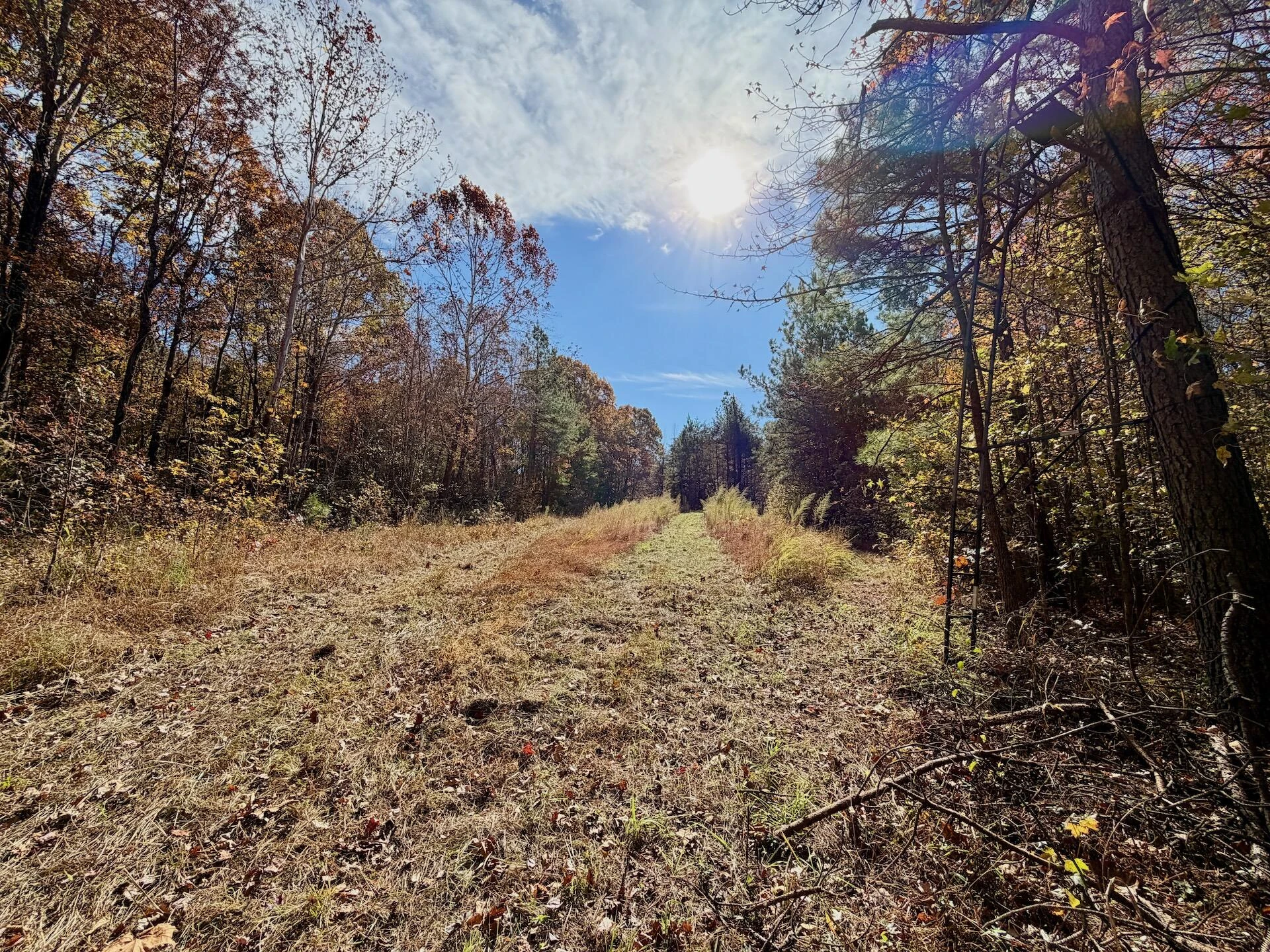 0 Slatesville RD - Photo 46