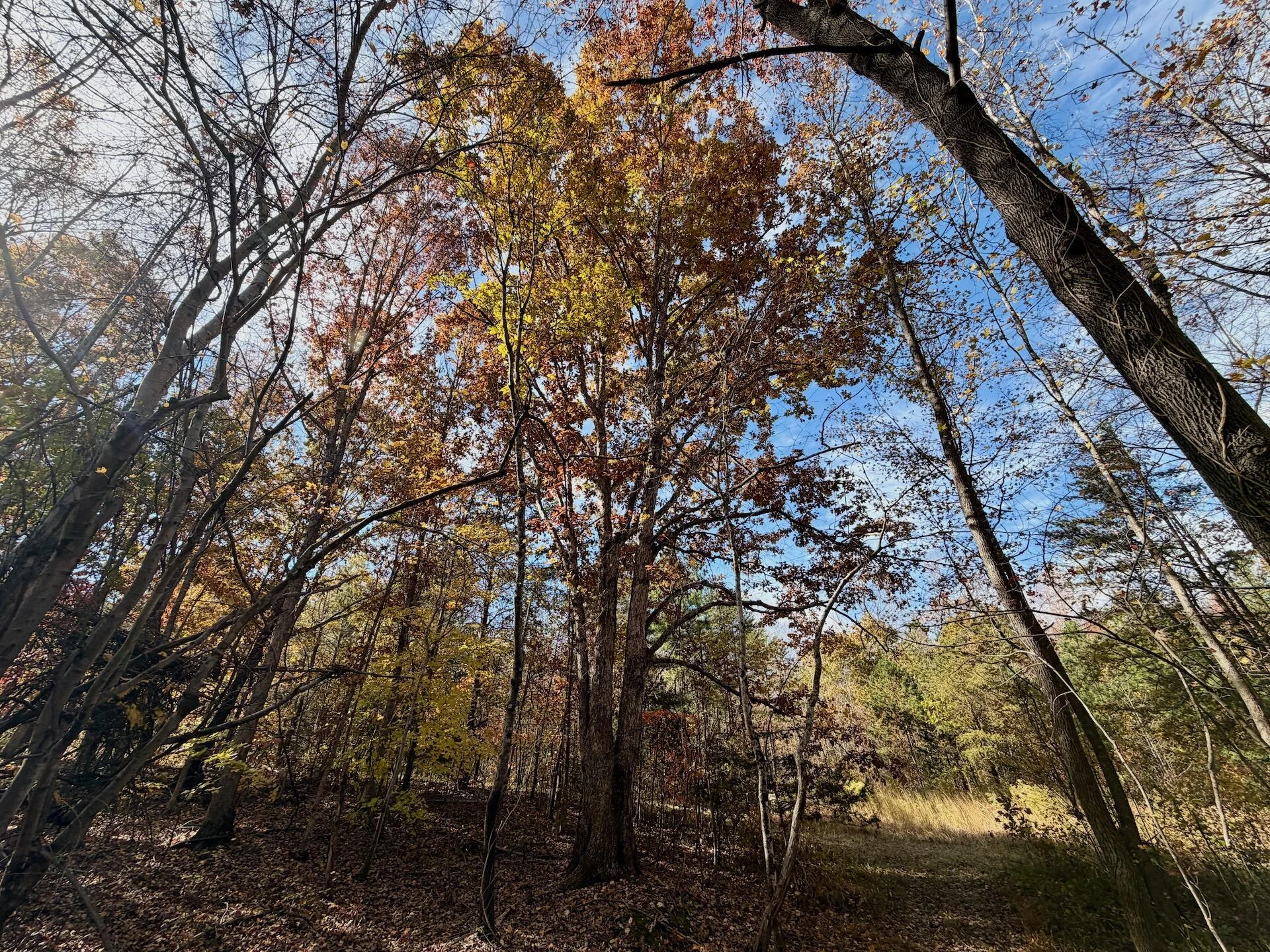 0 Slatesville RD - Photo 47