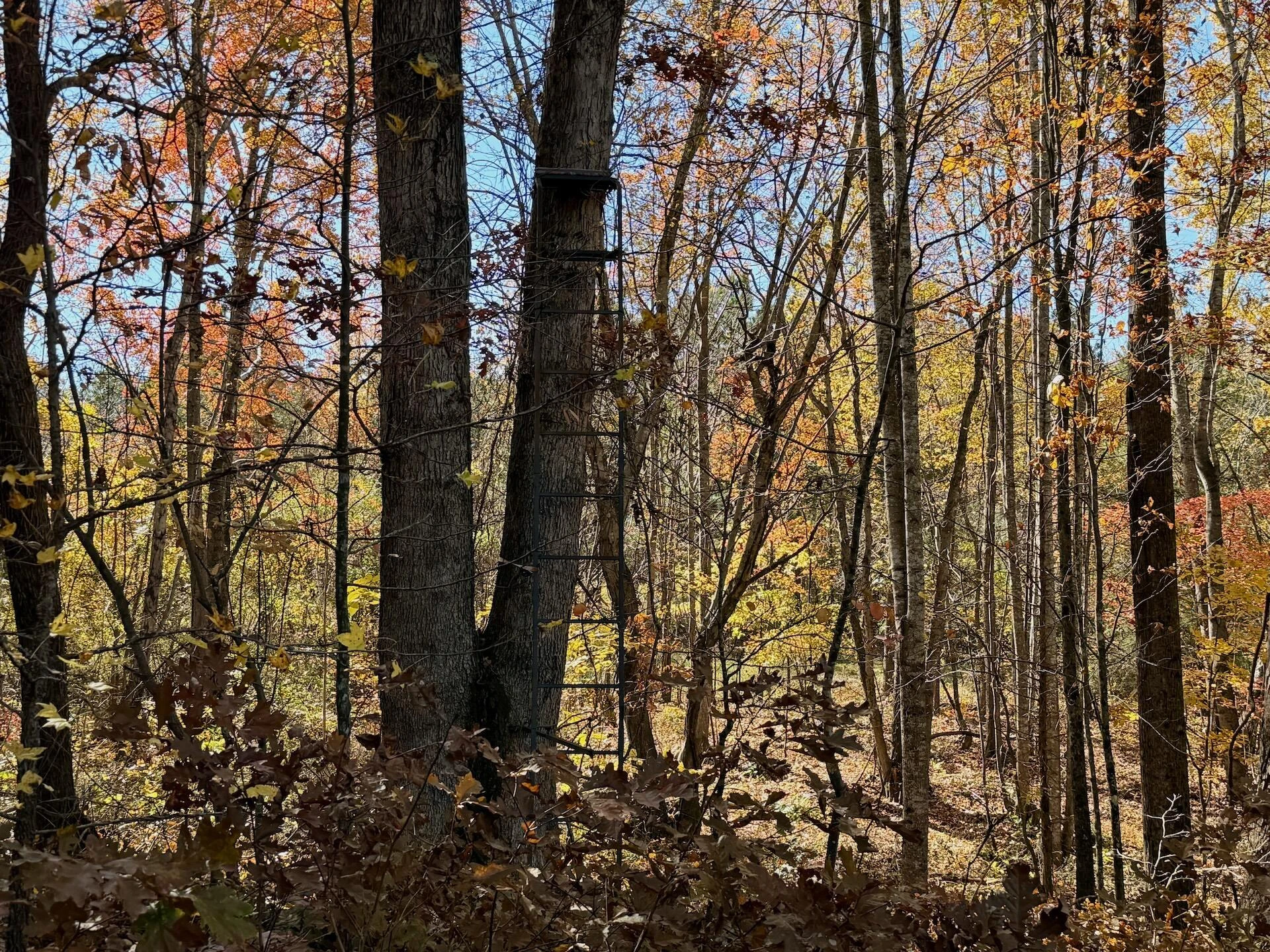0 Slatesville RD - Photo 48