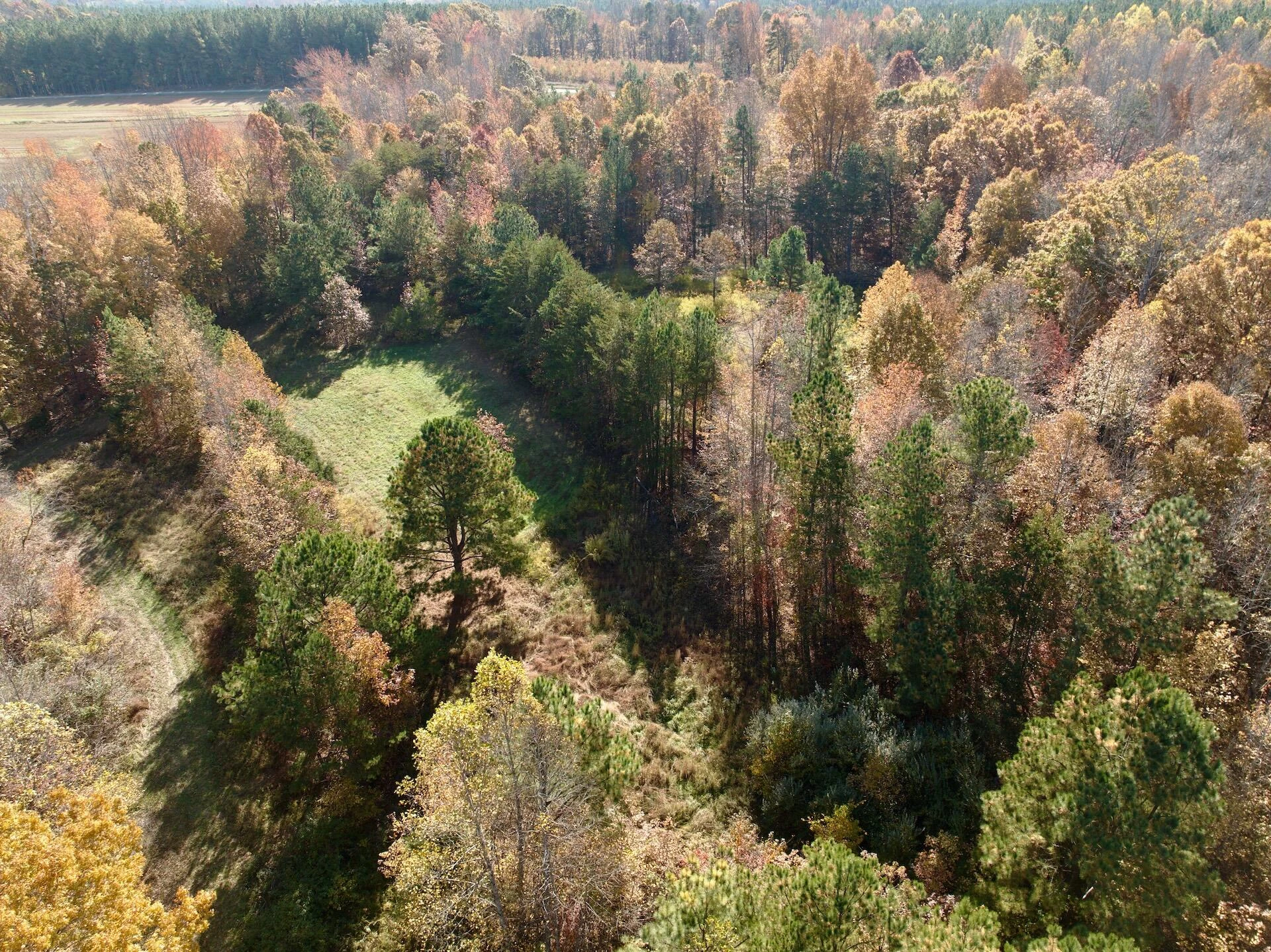 0 Slatesville RD - Photo 5
