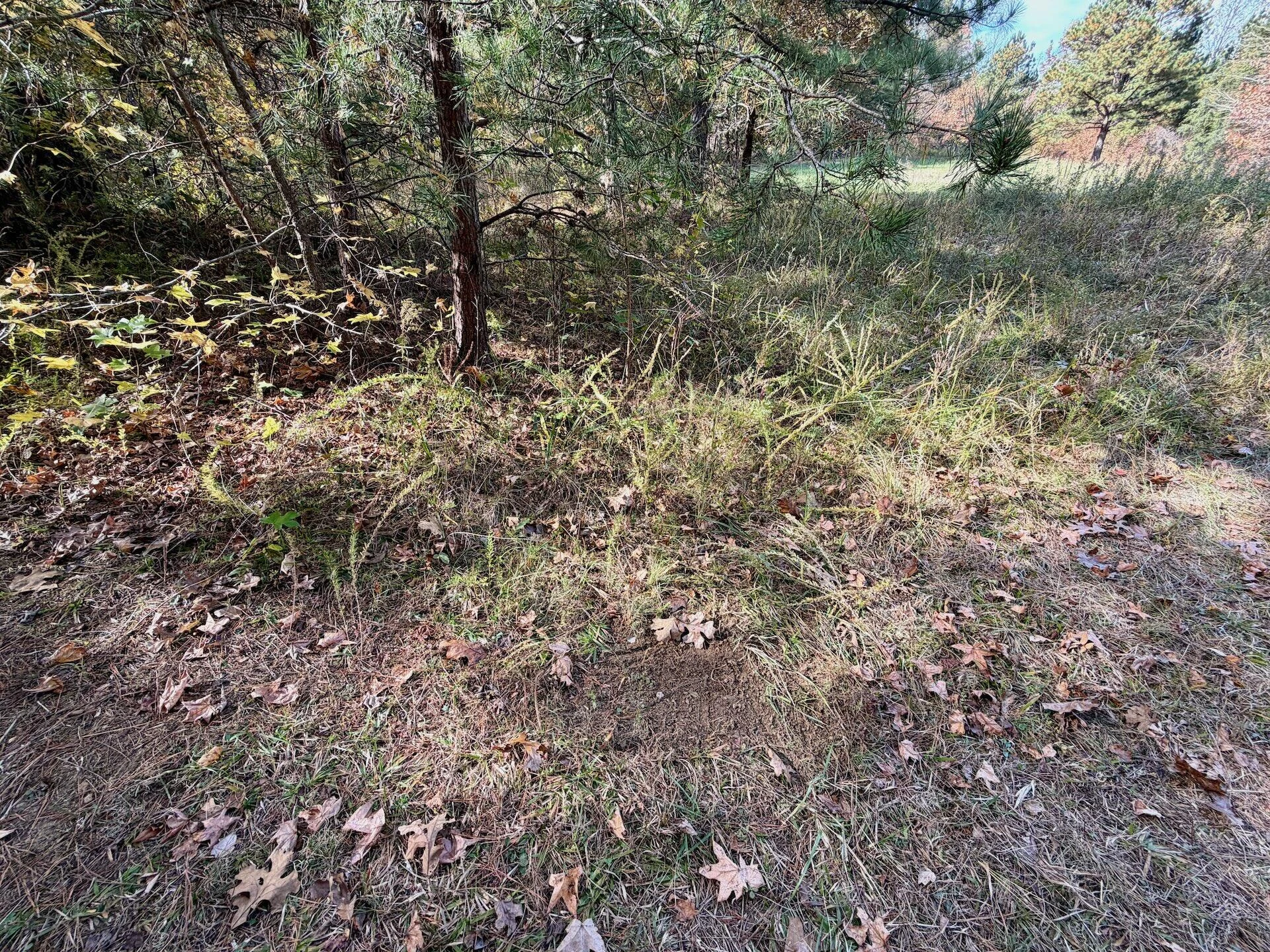 0 Slatesville RD - Photo 50