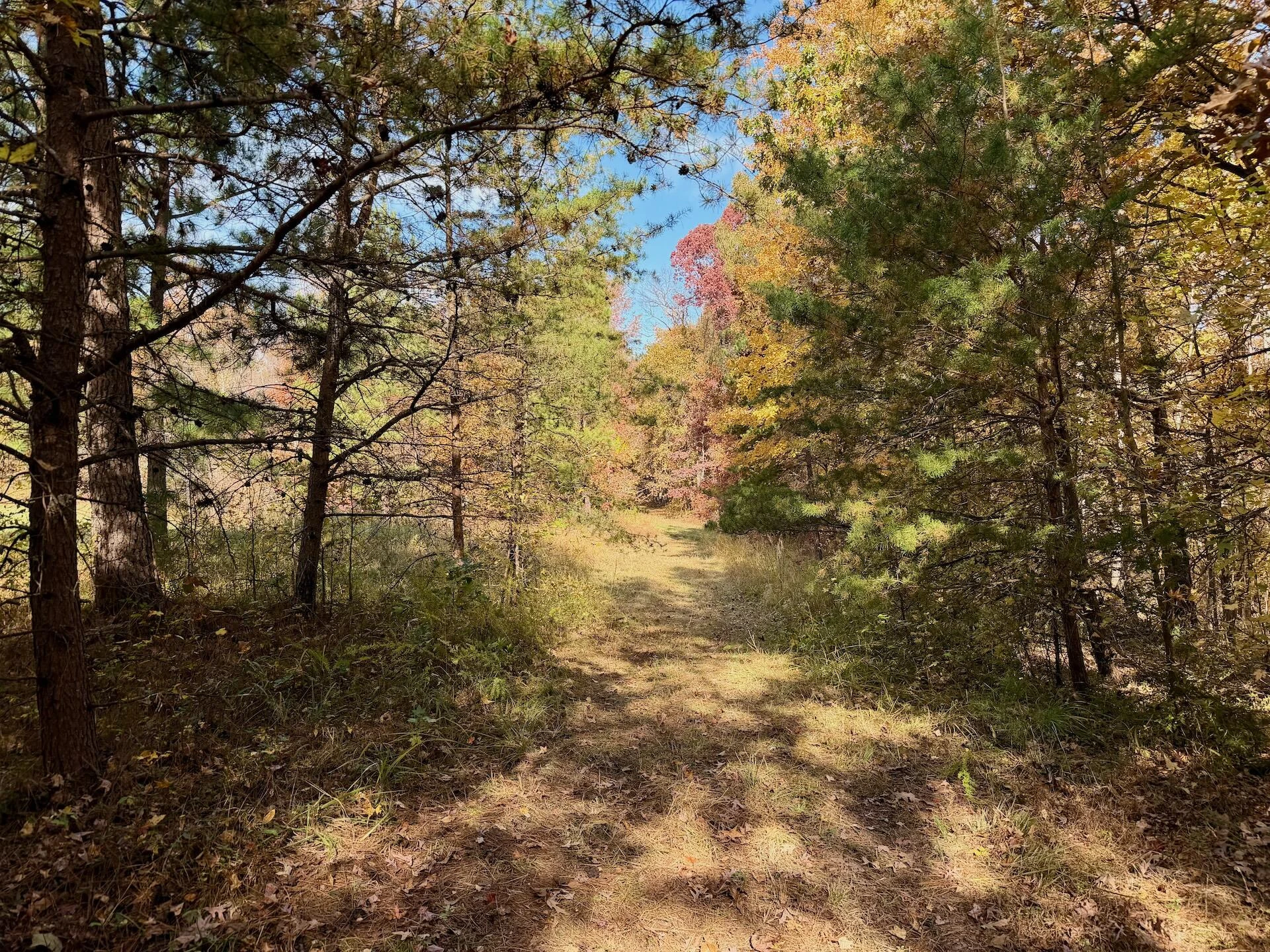 0 Slatesville RD - Photo 51