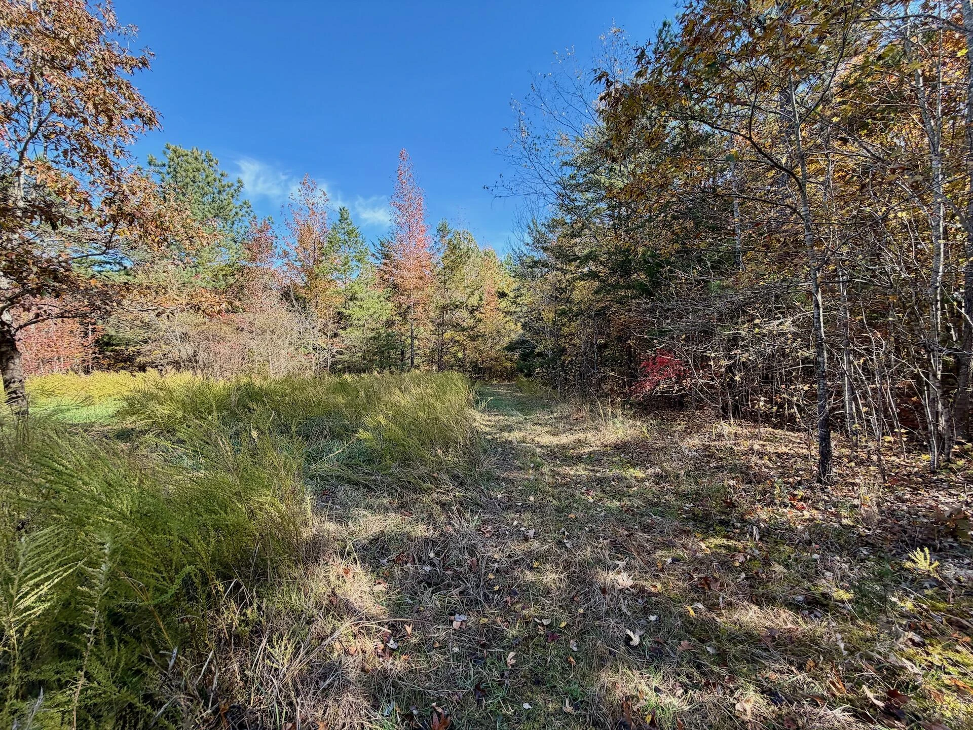 0 Slatesville RD - Photo 53