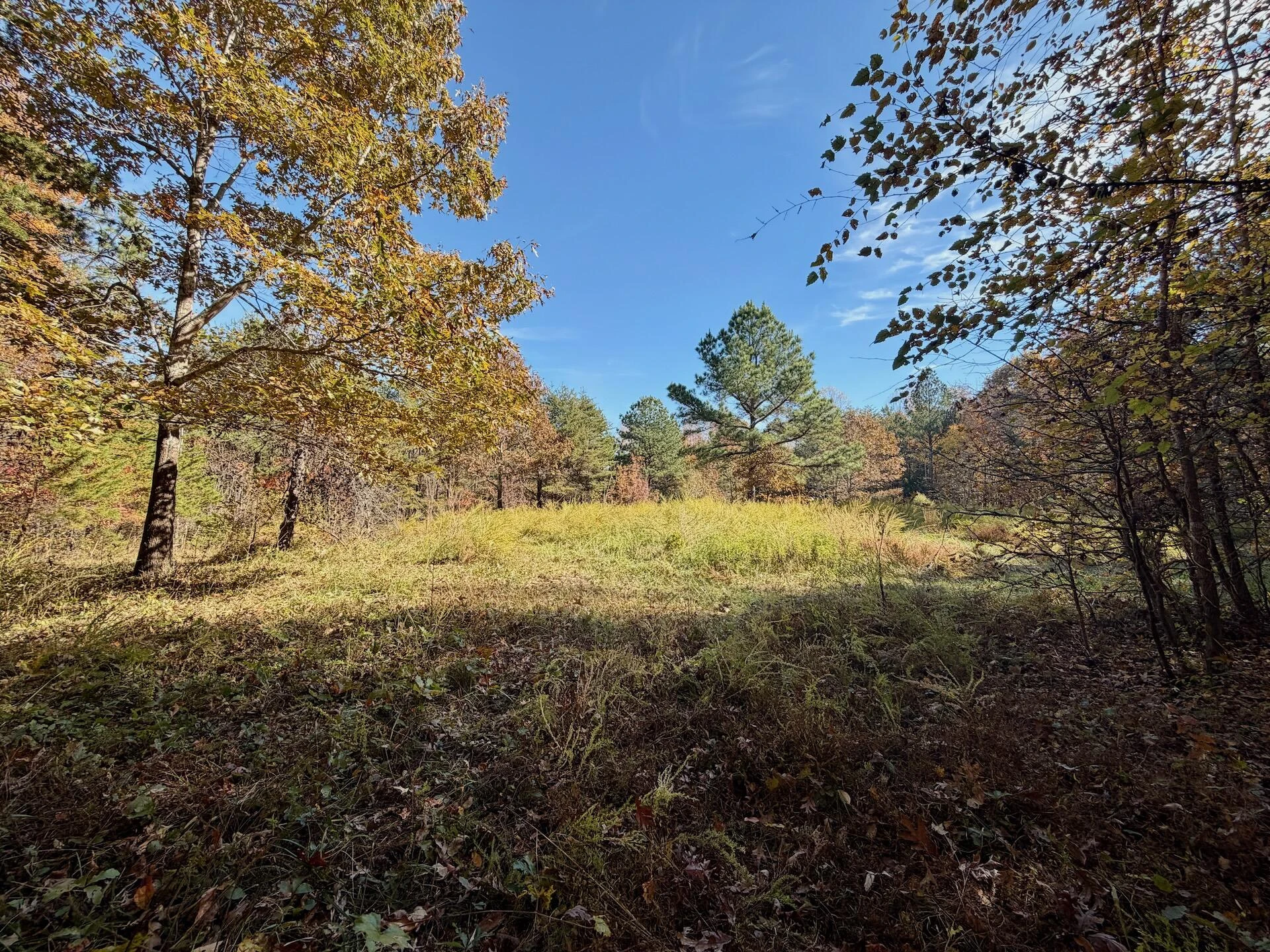 0 Slatesville RD - Photo 54