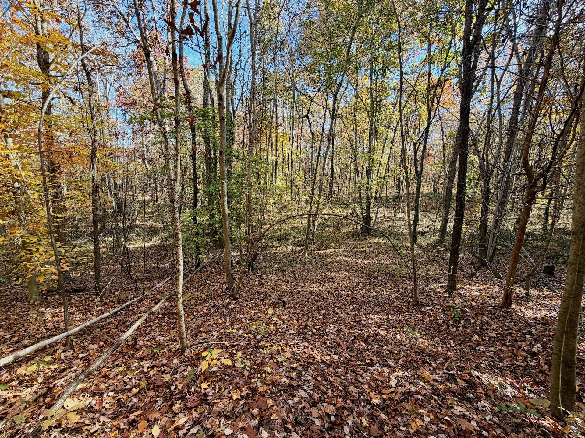 0 Slatesville RD - Photo 55