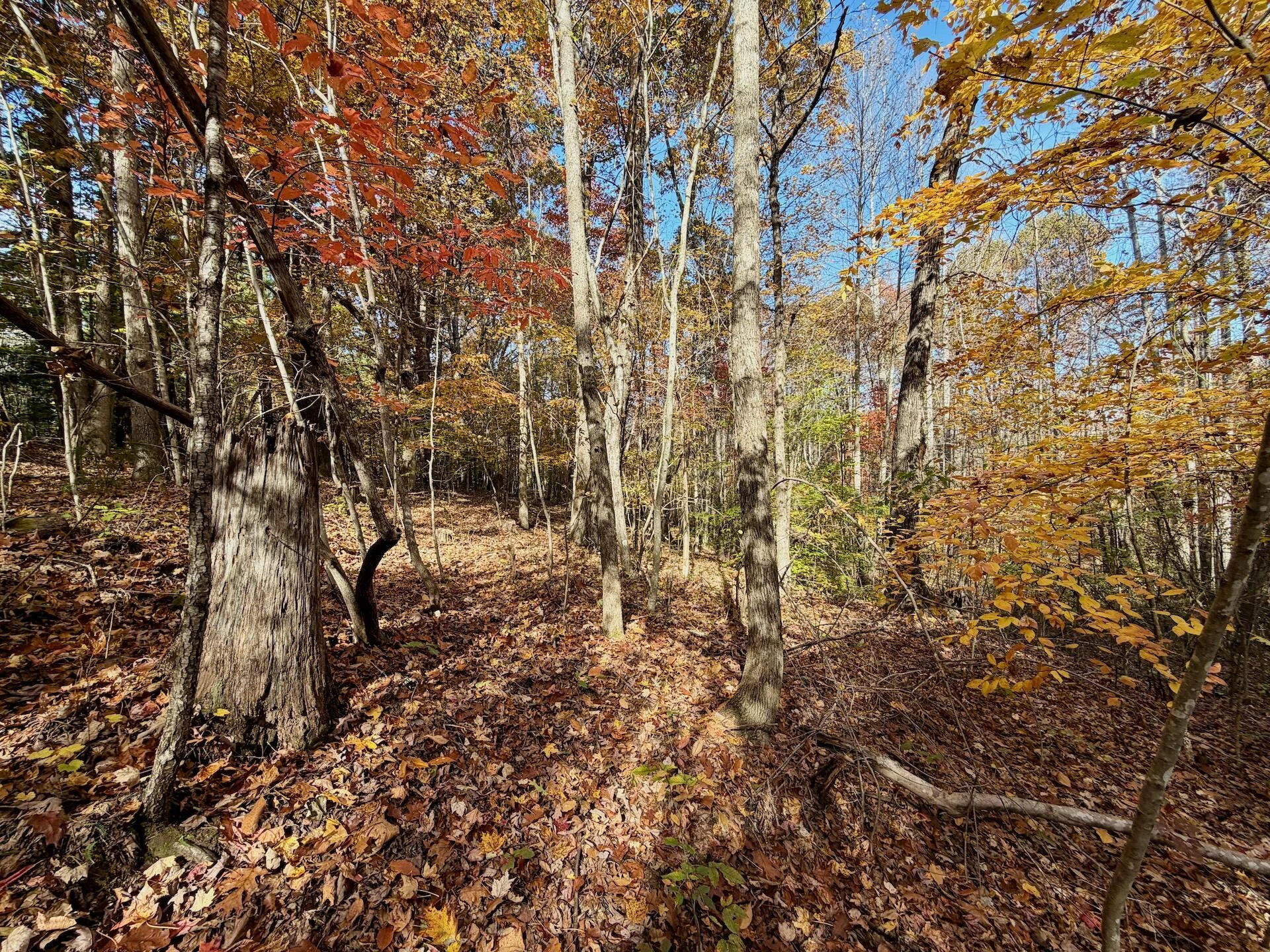 0 Slatesville RD - Photo 56