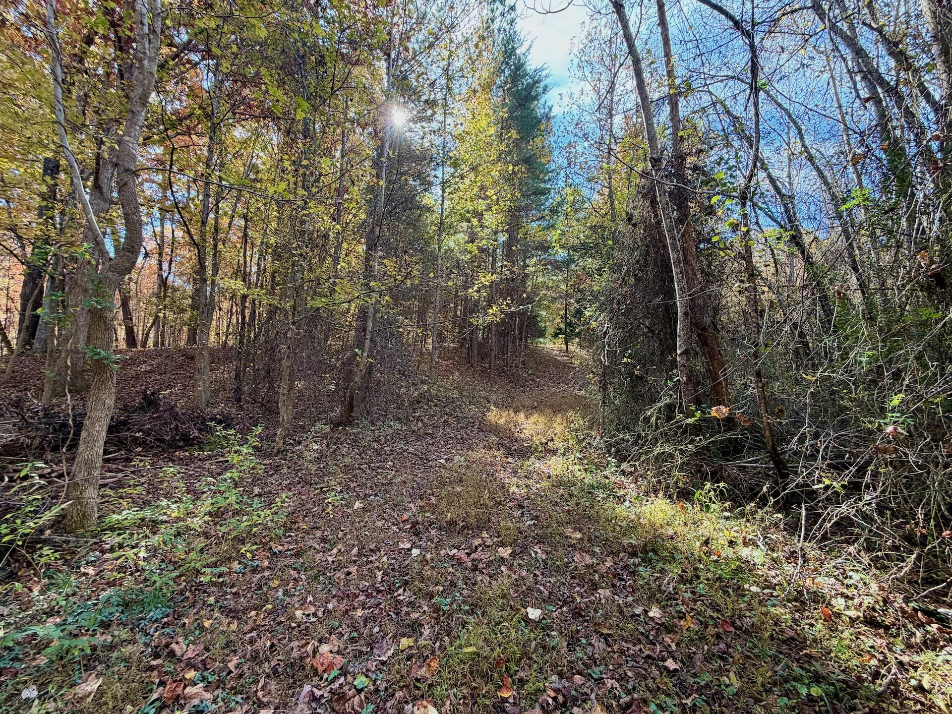 0 Slatesville RD - Photo 57