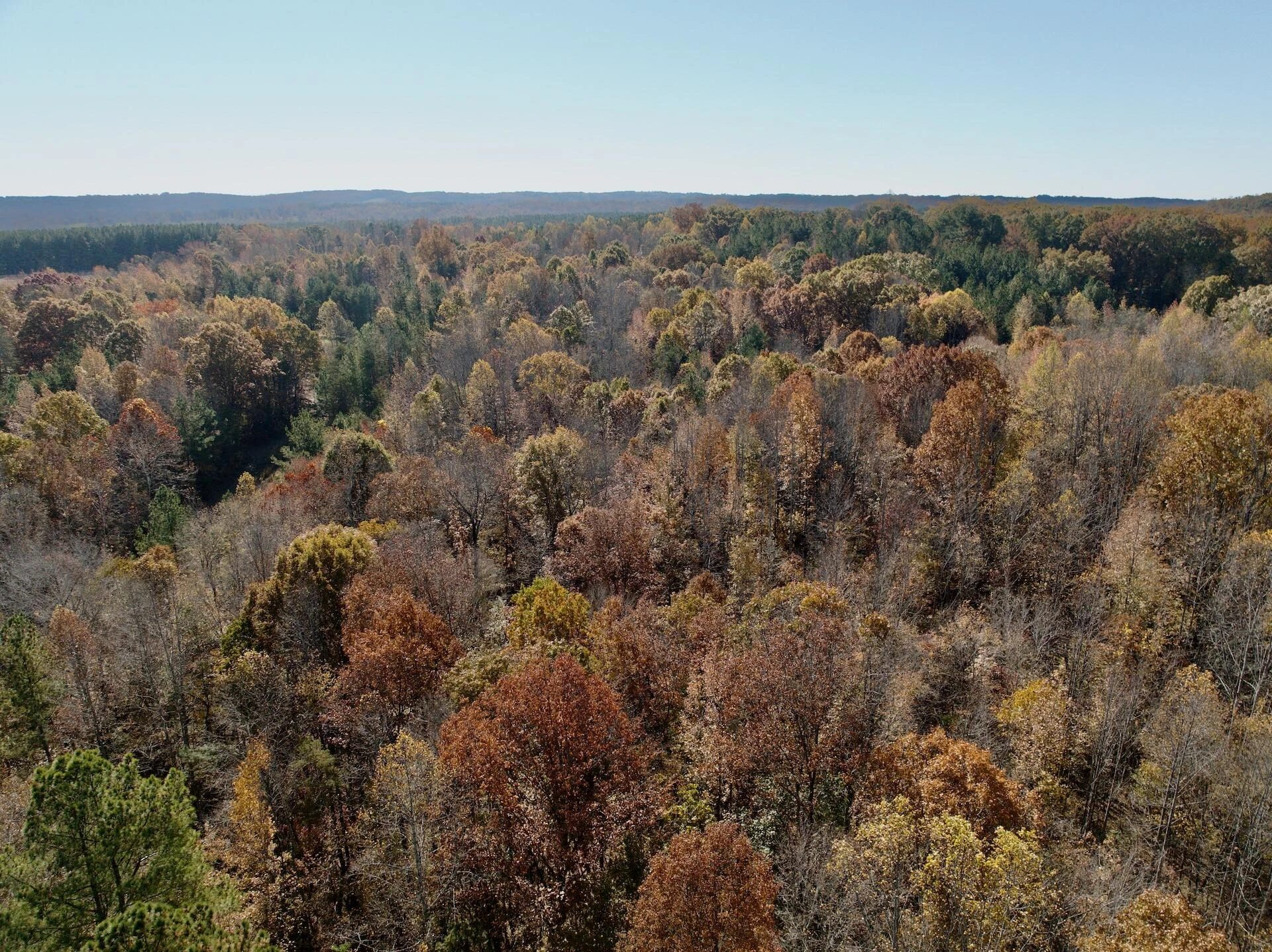 0 Slatesville RD - Photo 58