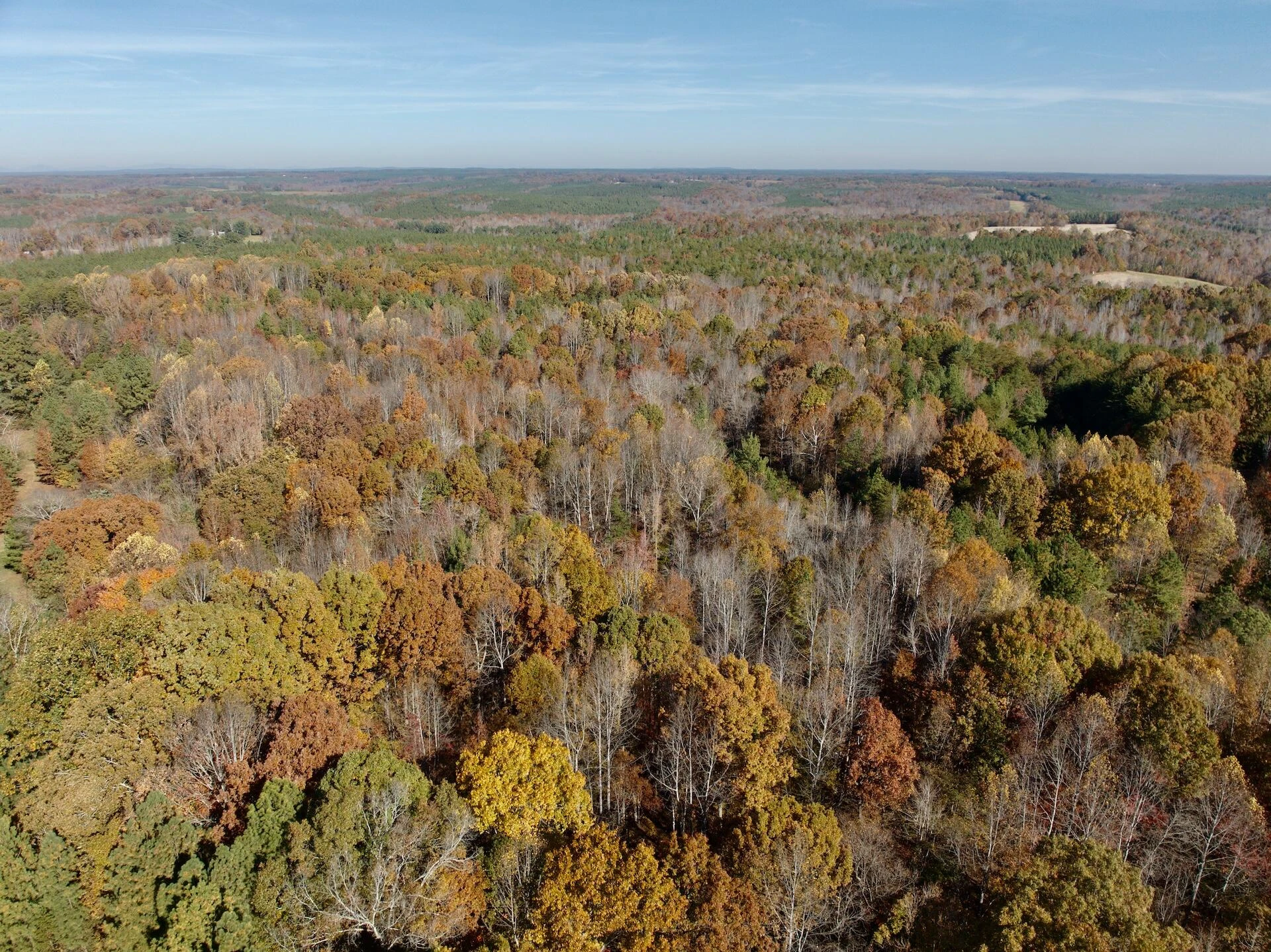 0 Slatesville RD - Photo 59