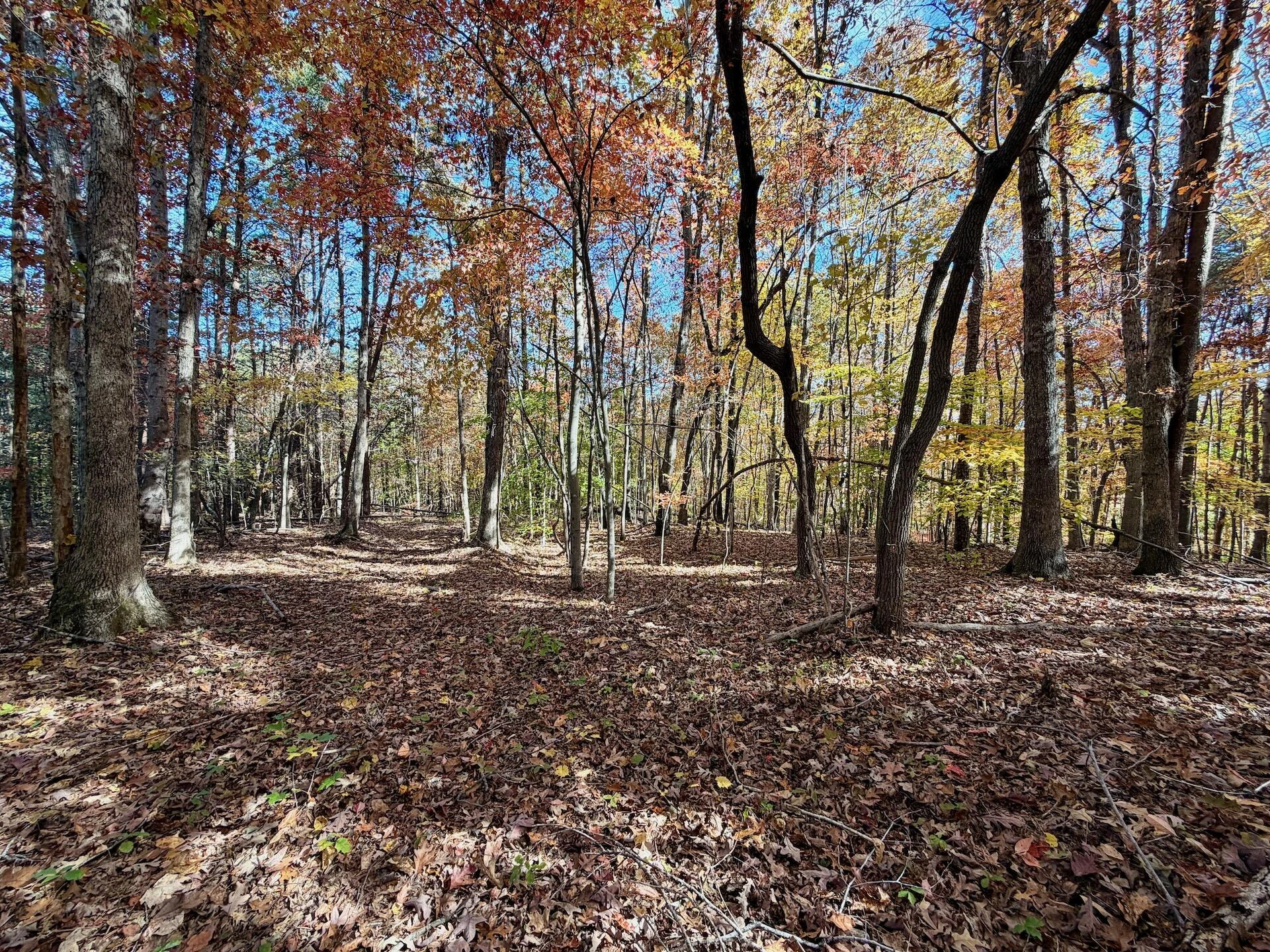 0 Slatesville RD - Photo 6