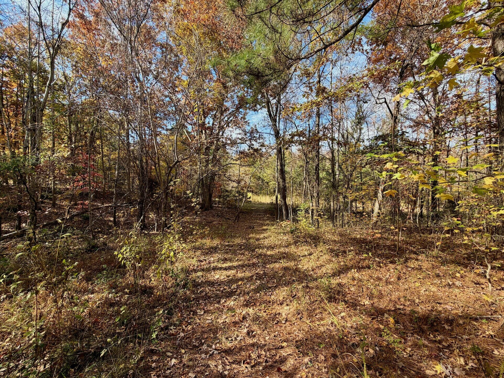 0 Slatesville RD - Photo 7